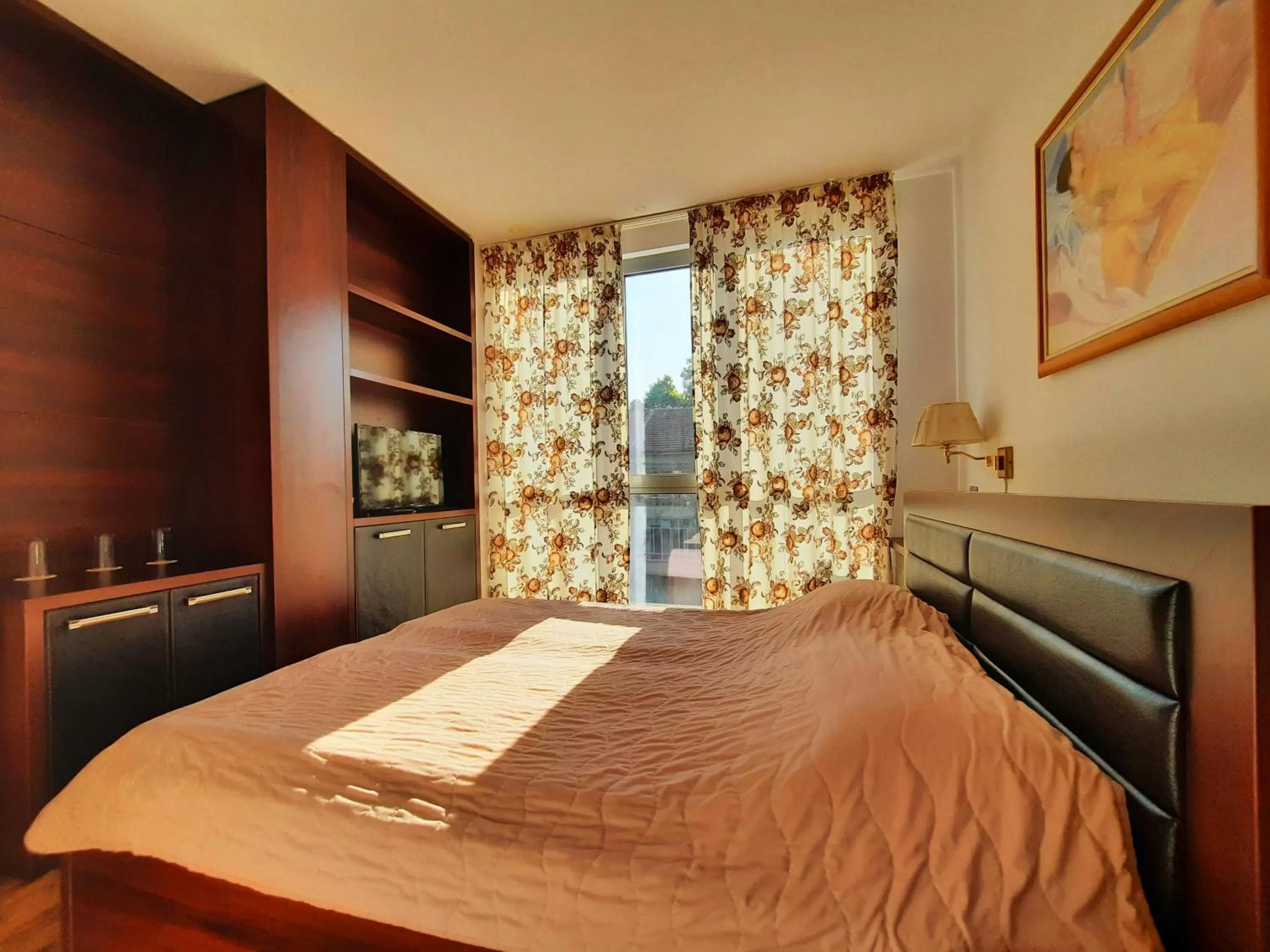 Library, Bed in Hotel City Pleven