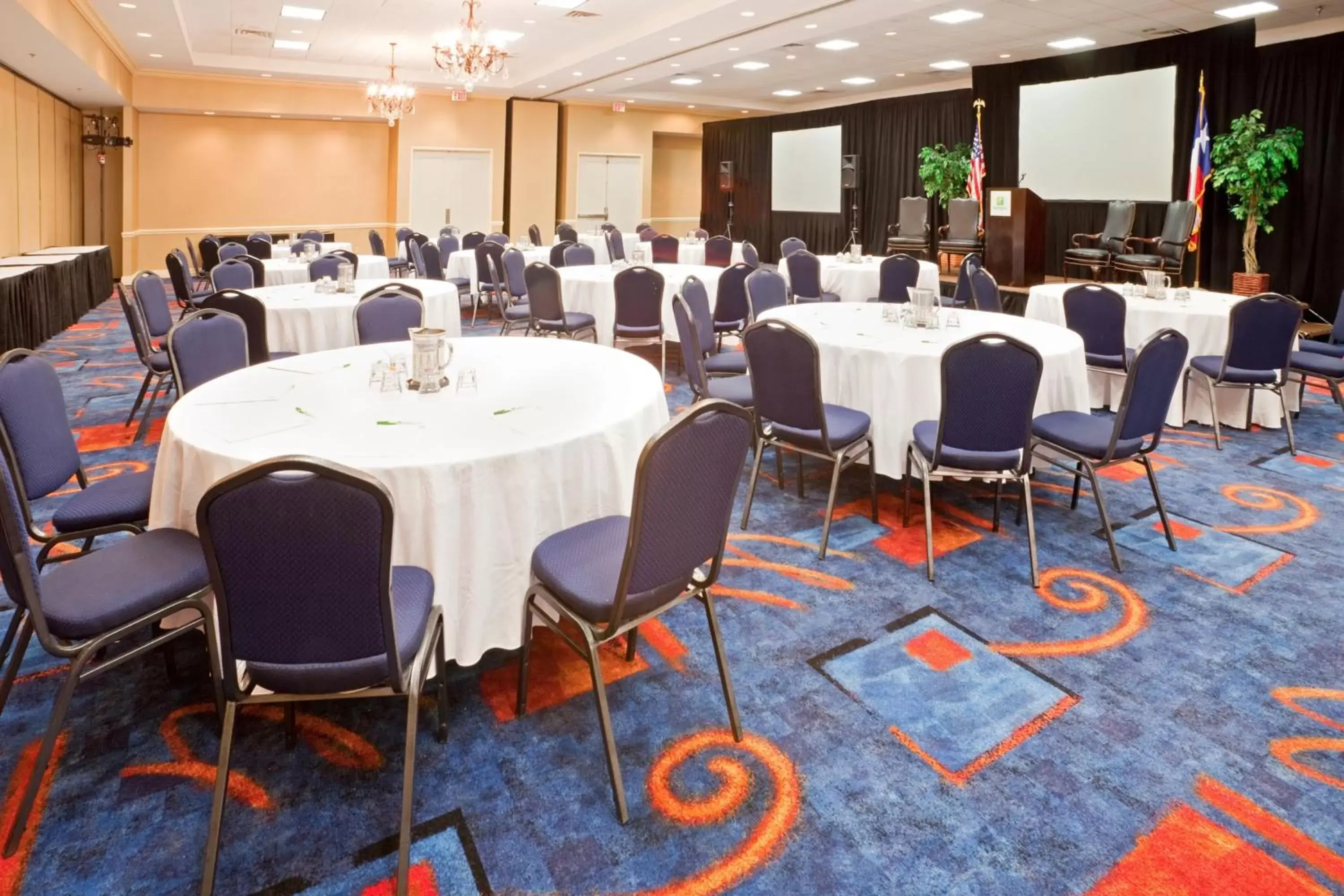 Meeting/conference room in Holiday Inn Austin Midtown, an IHG Hotel