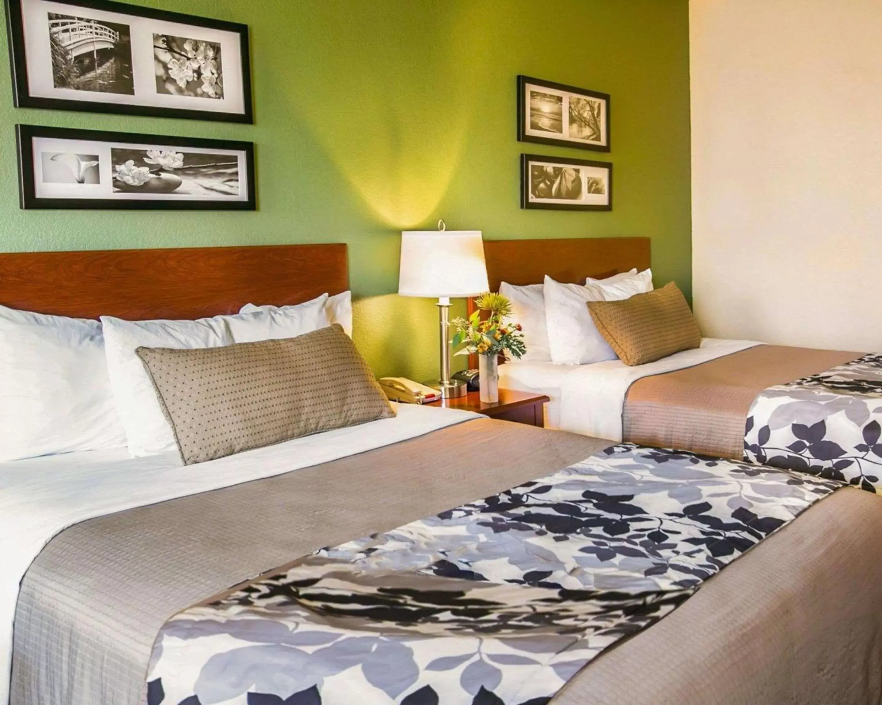 Queen Room with Two Queen Beds - Non-Smoking in Sleep Inn & Suites Gonzales near Palmetto State Park Queen Room with Two Queen Beds - Non-Smoking in Sleep Inn & Suites Gonzales near Palmetto State Park