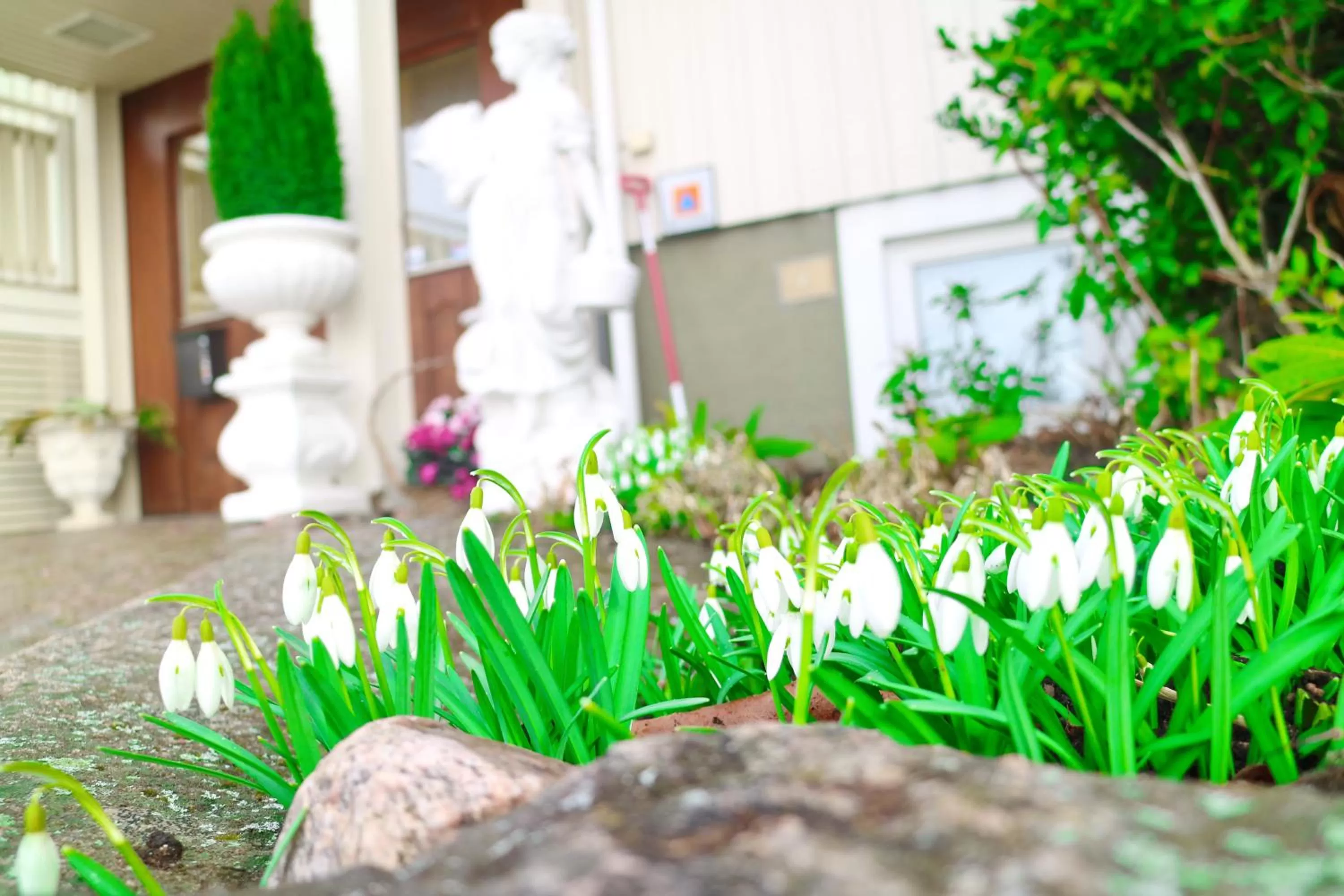 Garden in Vänerport Lakefront Hotell