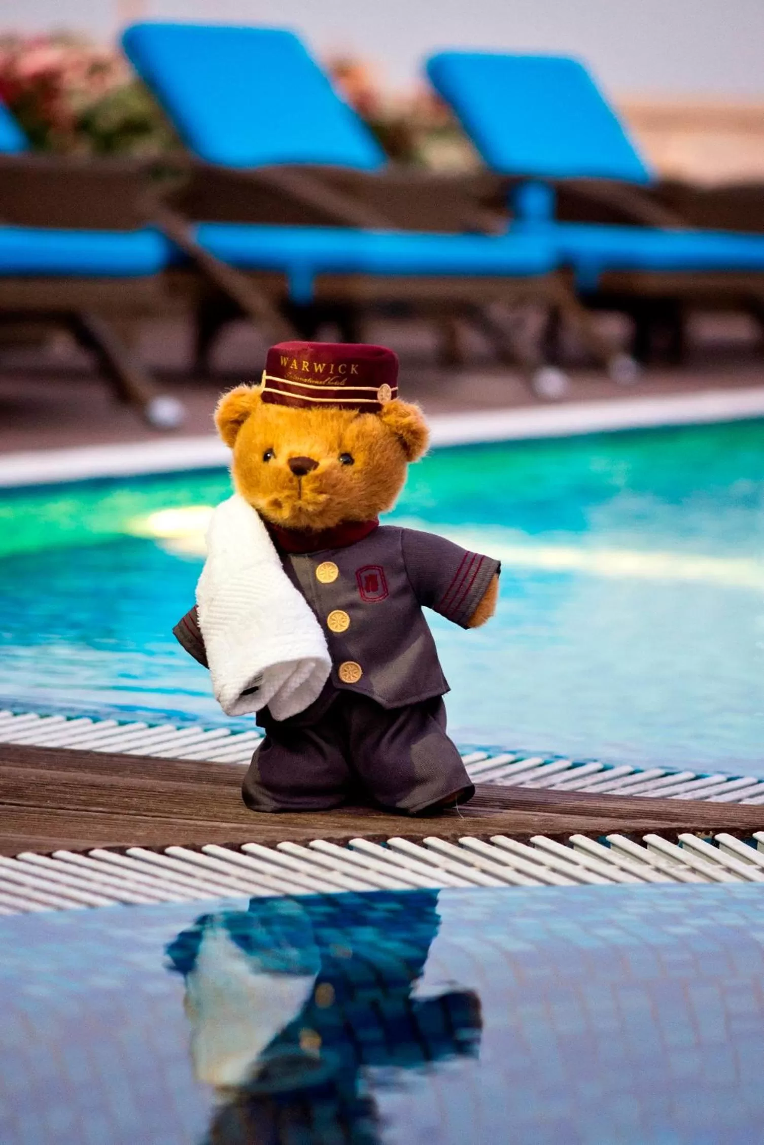 Swimming pool in Warwick Doha