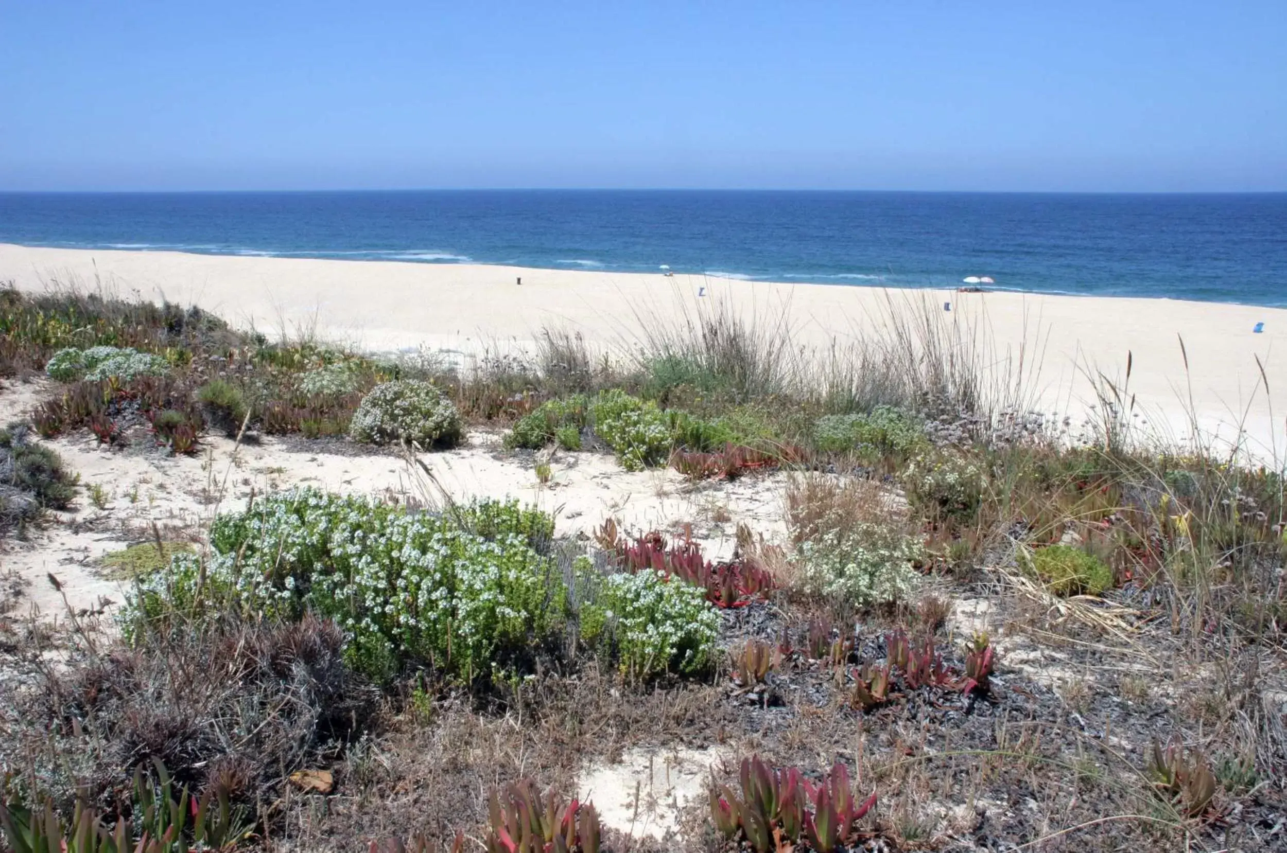 Beach in Hotel Rural Monte da Leziria