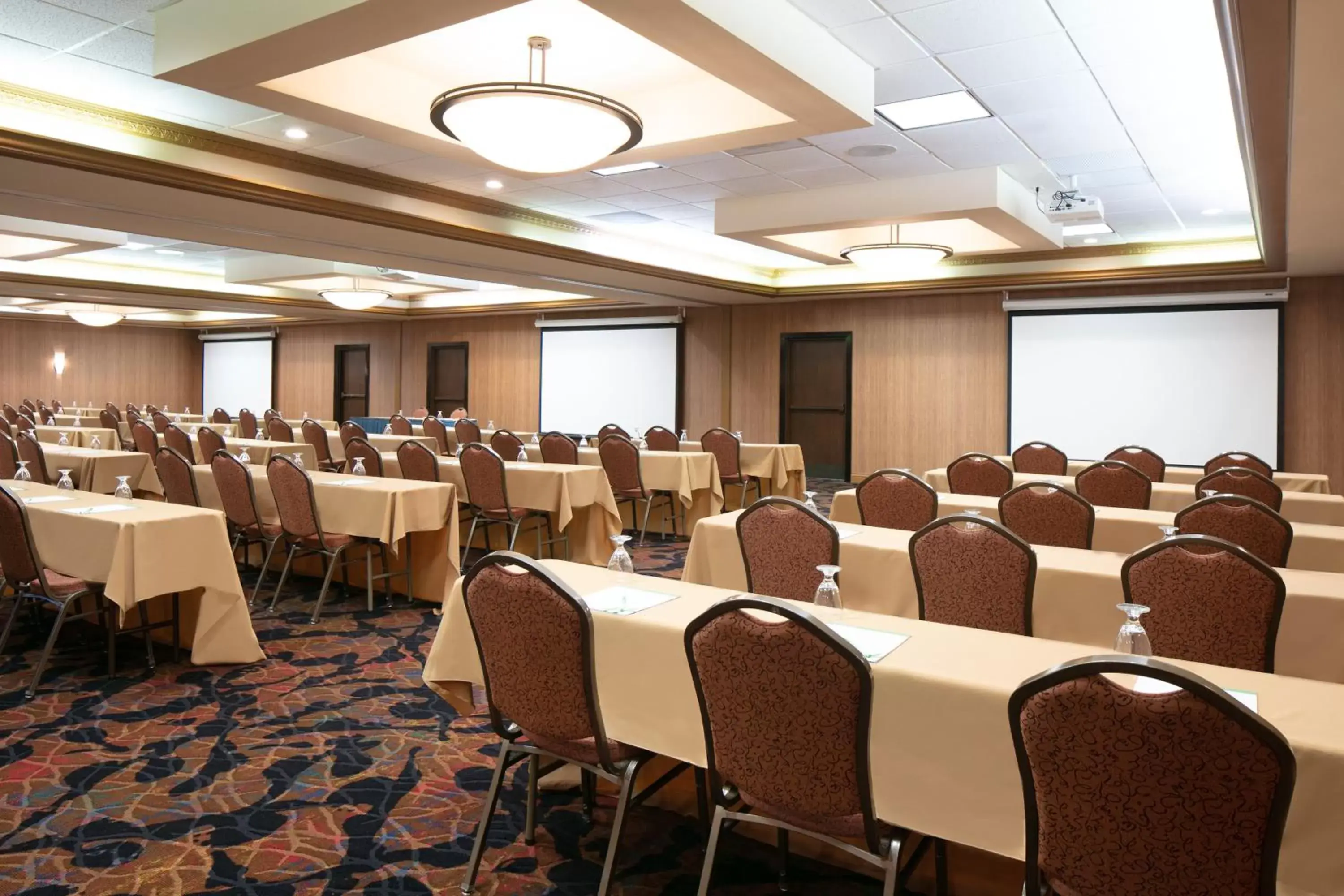 Meeting/conference room in Holiday Inn Dubuque/Galena, an IHG Hotel