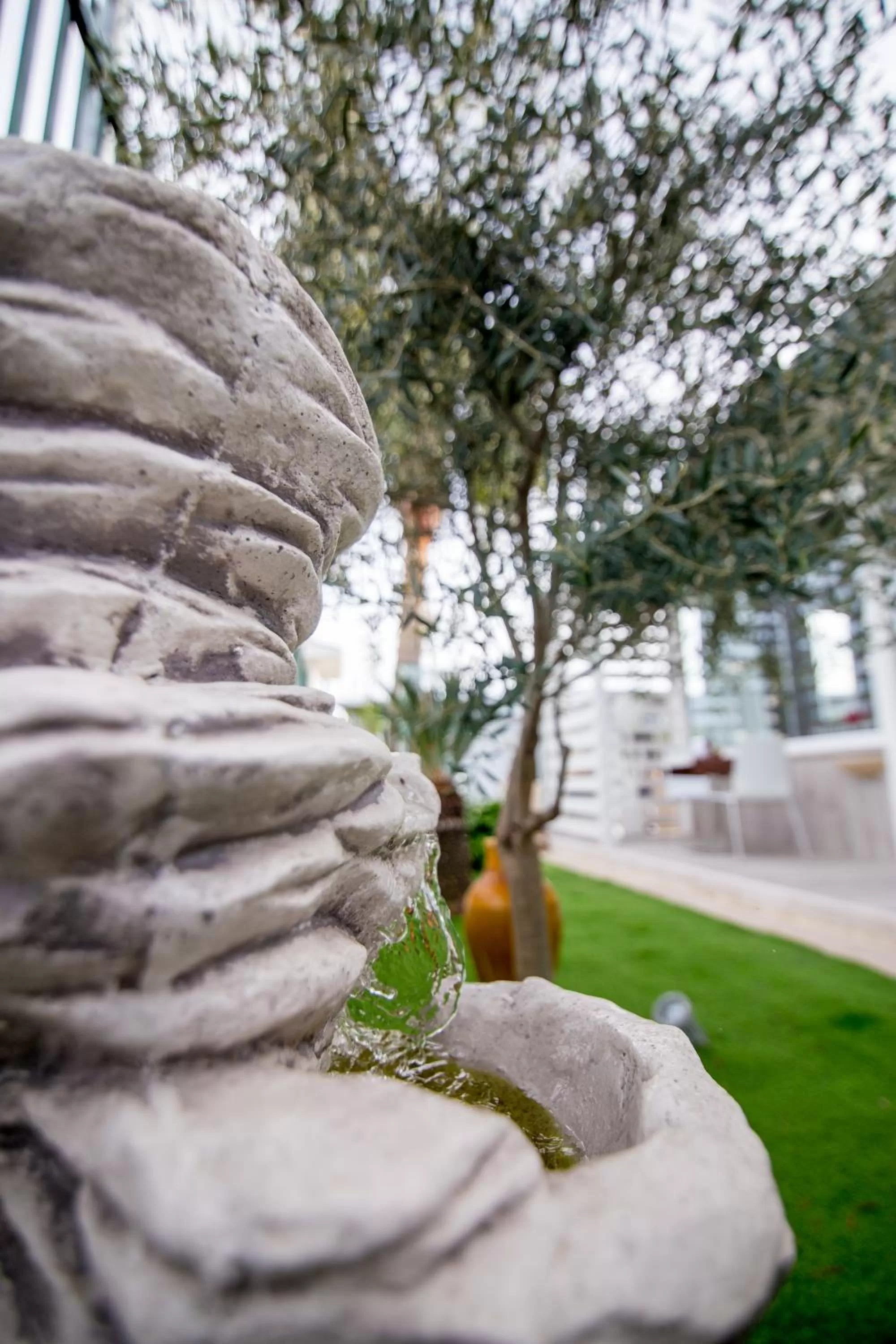 Property building in B&B Dimmito