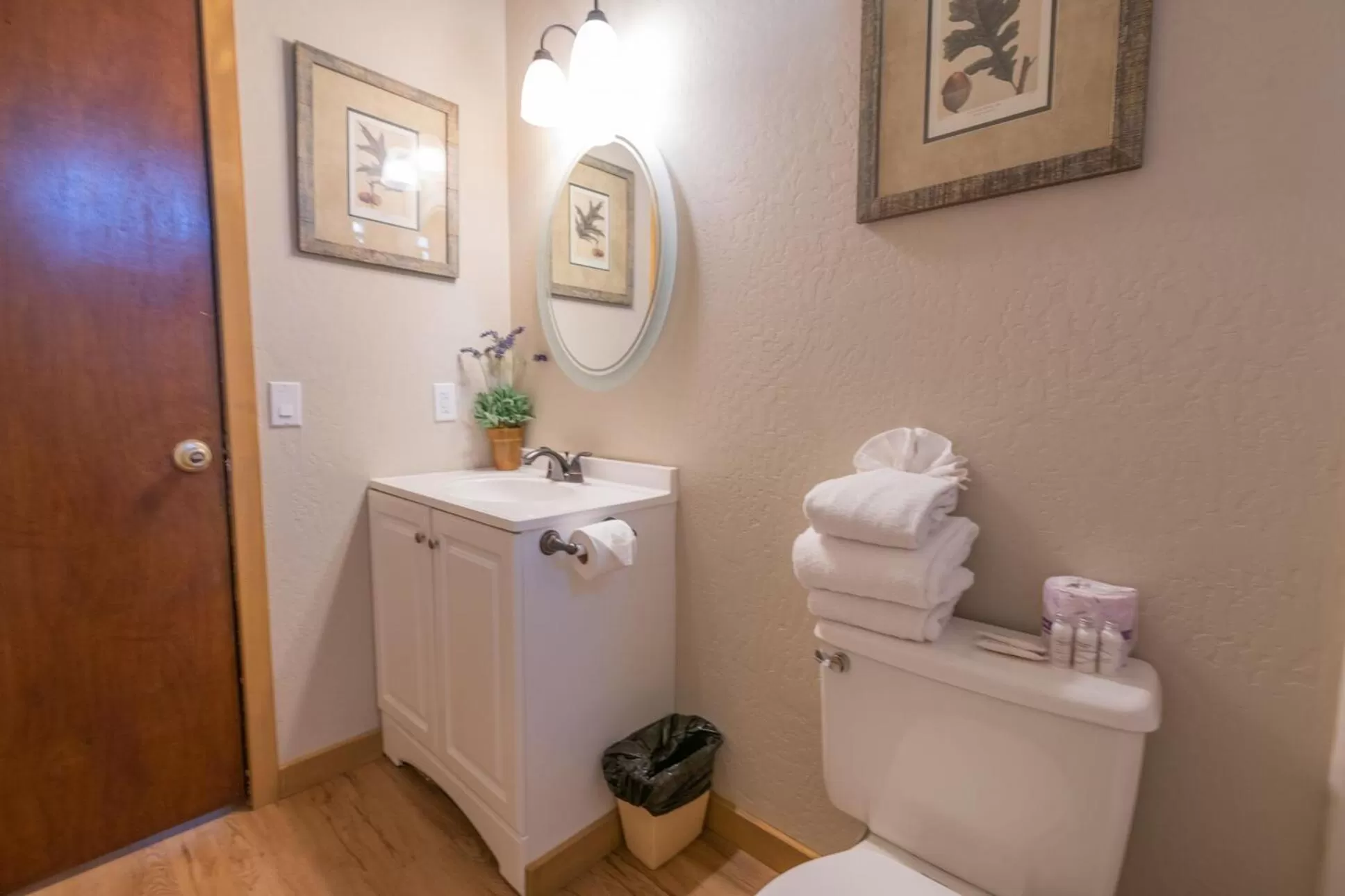 Bathroom in Black Forest Lodge