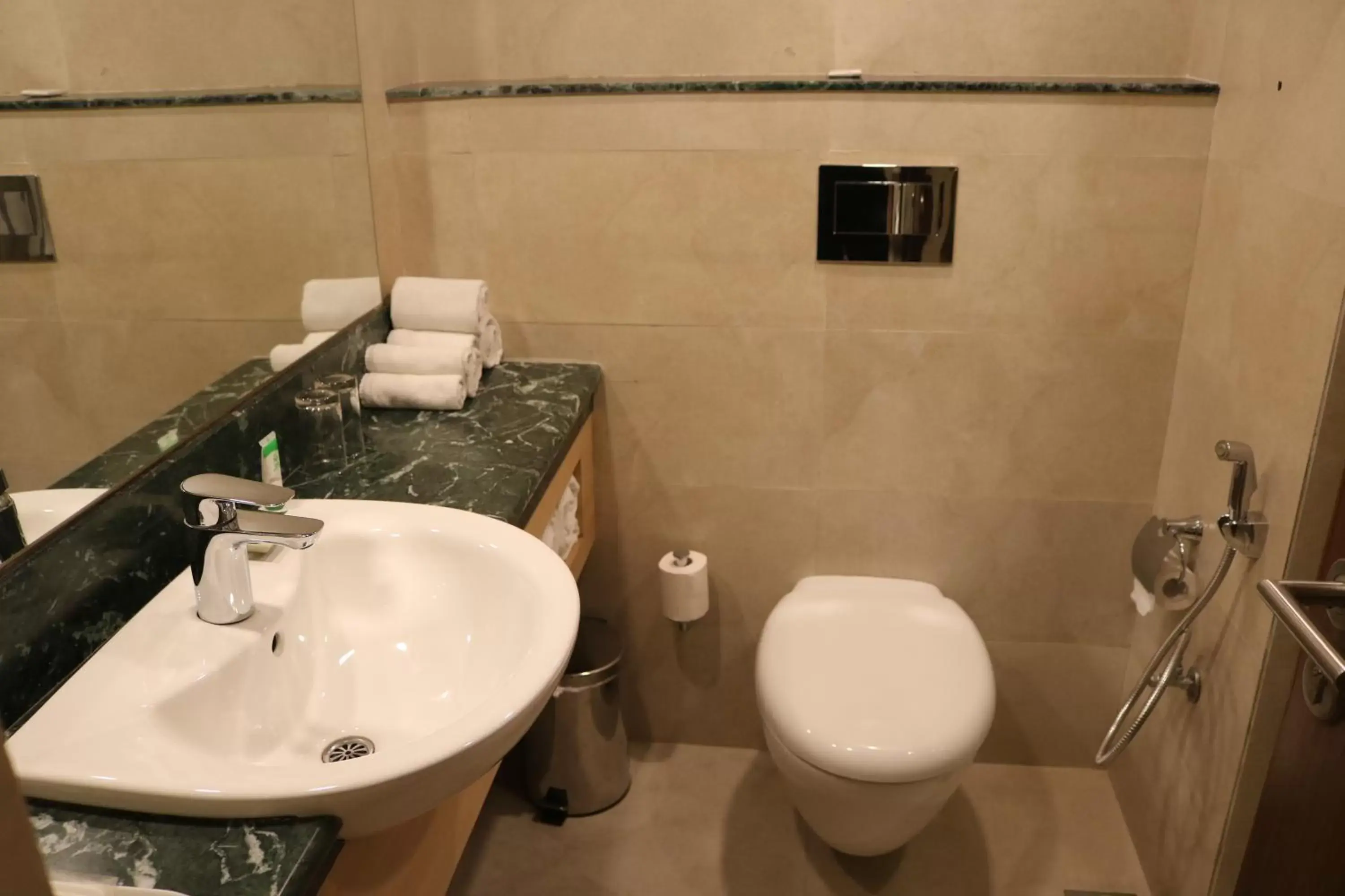 Bathroom in Radisson Srinagar