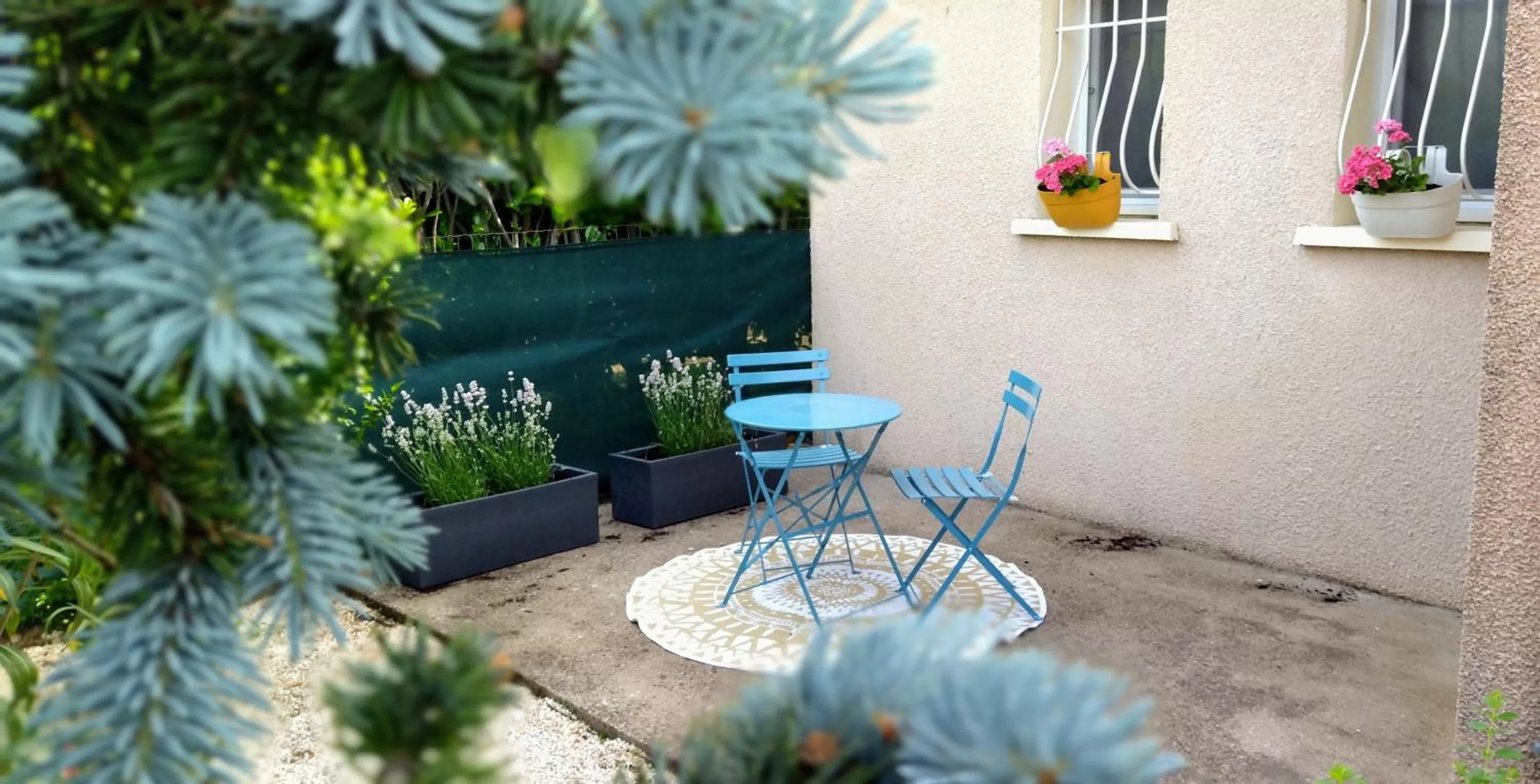 Patio in Fleurs de Cosmos