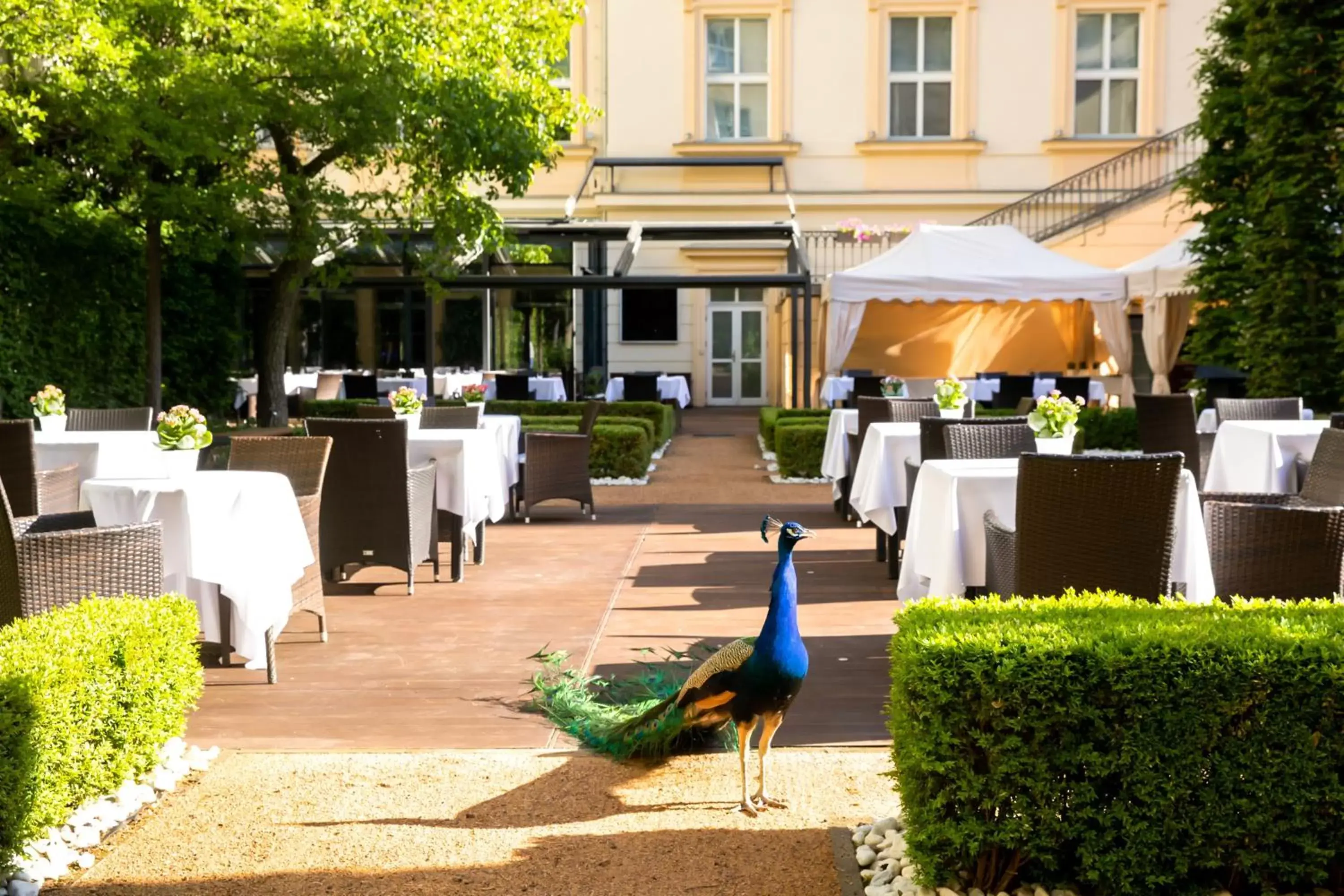Garden, Restaurant/Places to Eat in The Grand Mark Prague - The Leading Hotels of the World
