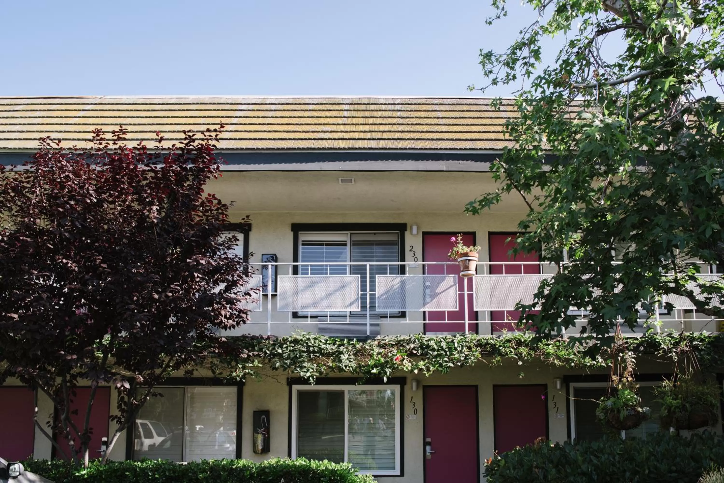 Property building in Alamo Inn and Suites - Convention Center