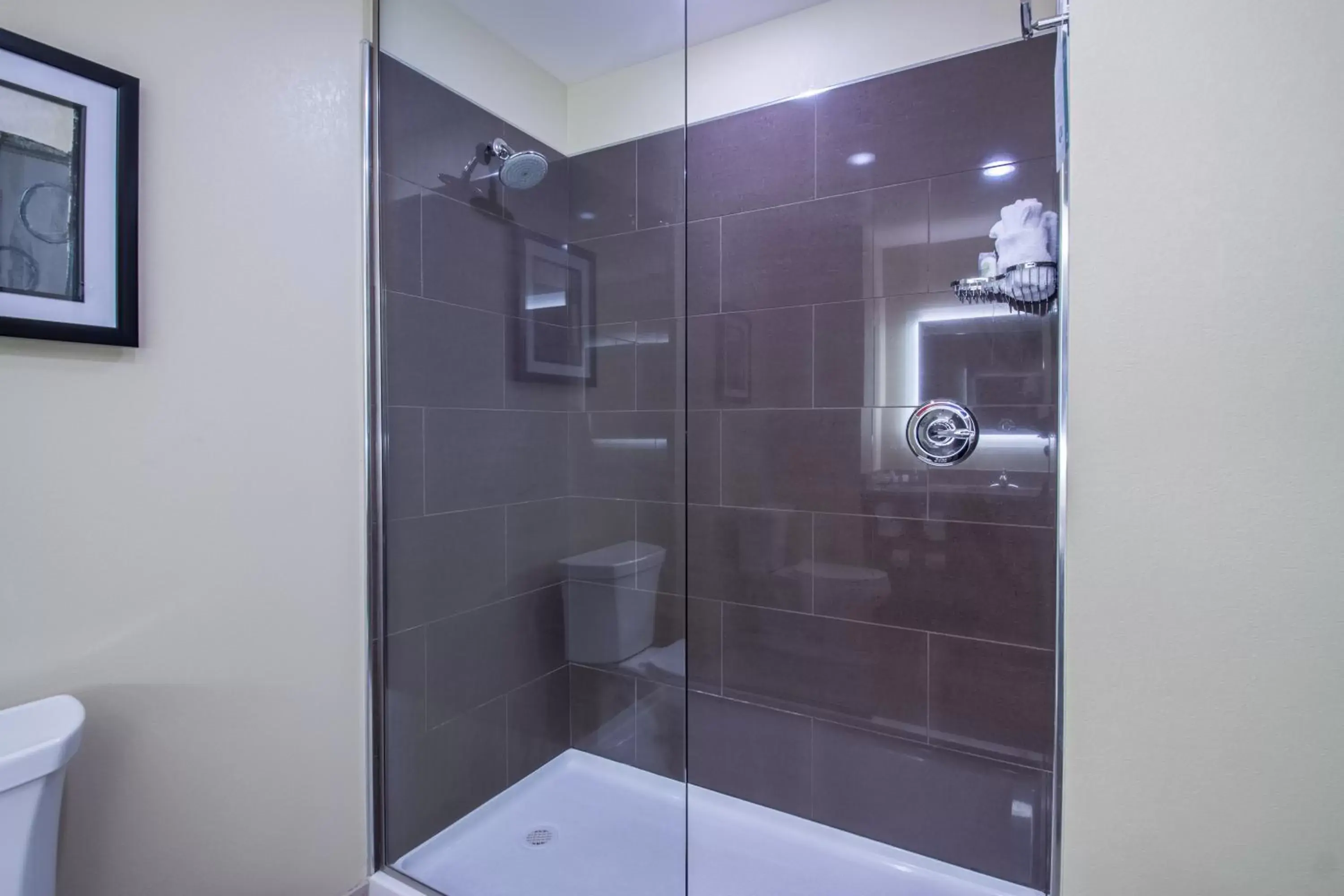 Shower, Bathroom in Cobblestone Inn & Suites - St Marys