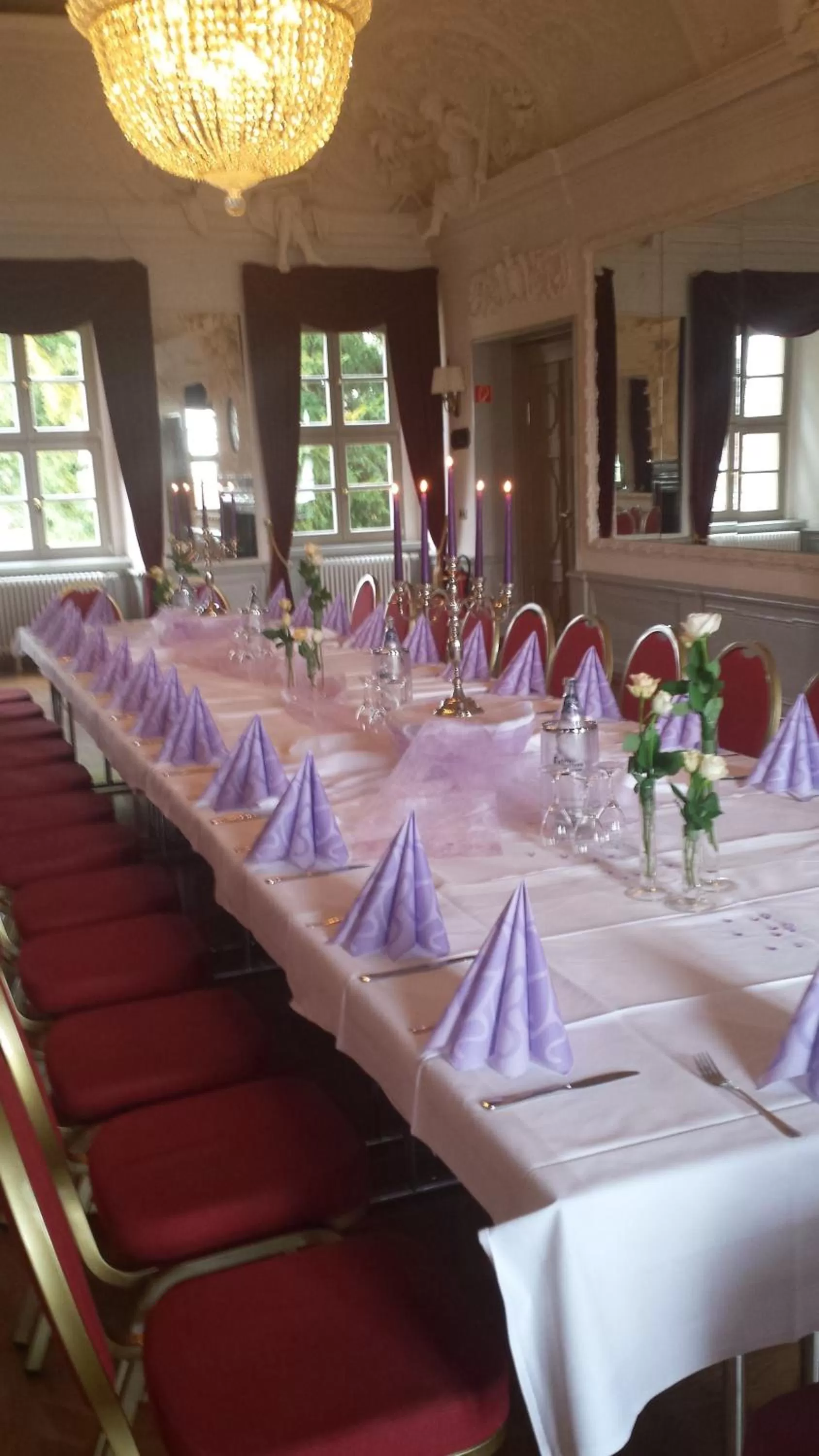 Banquet/Function facilities in Stadtschloß Hecklingen