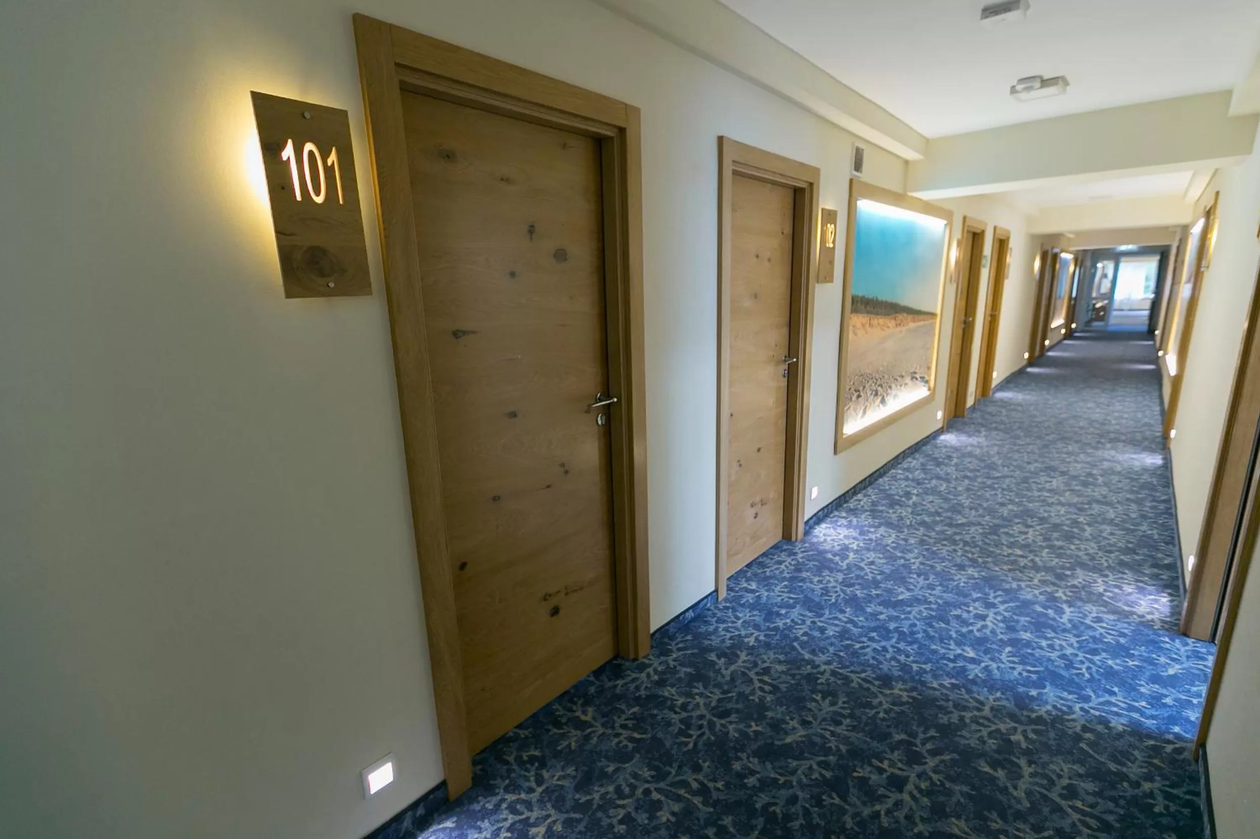 Windsurfing in Interferie Cechsztyn