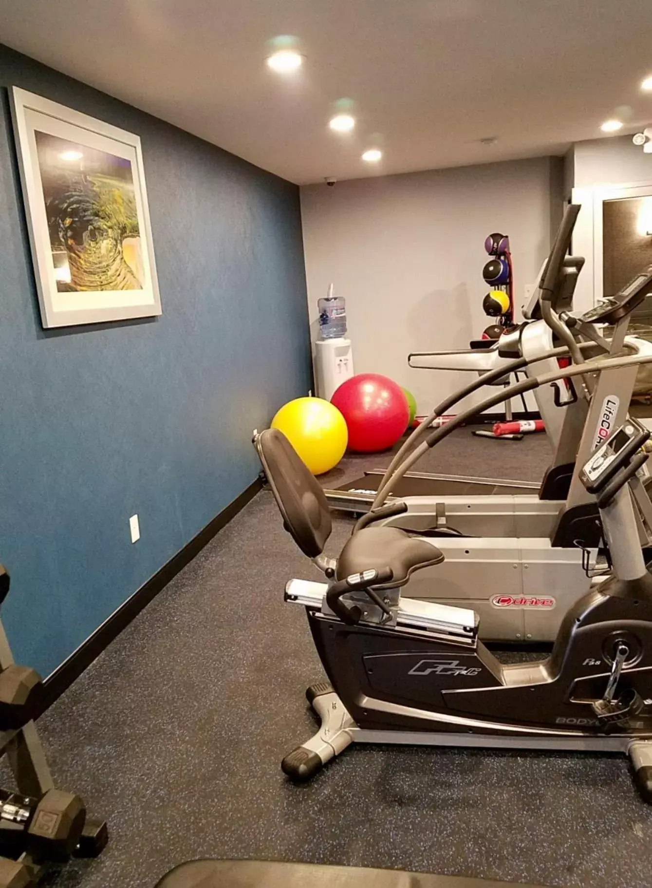 Fitness centre/facilities, Fitness Center/Facilities in Best Western On The Avenue