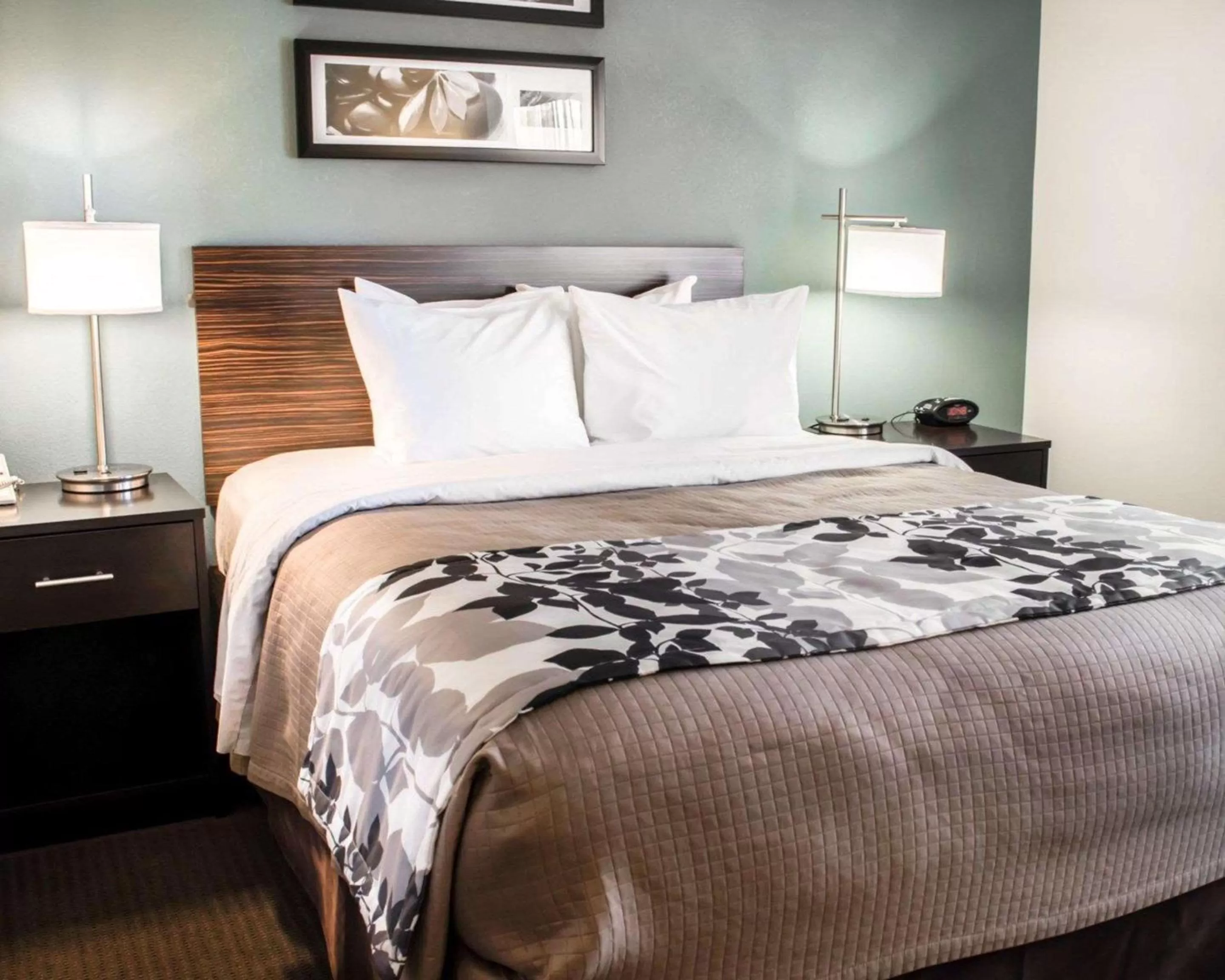 Photo of the whole room, Bed in Sleep Inn & Suites Monticello