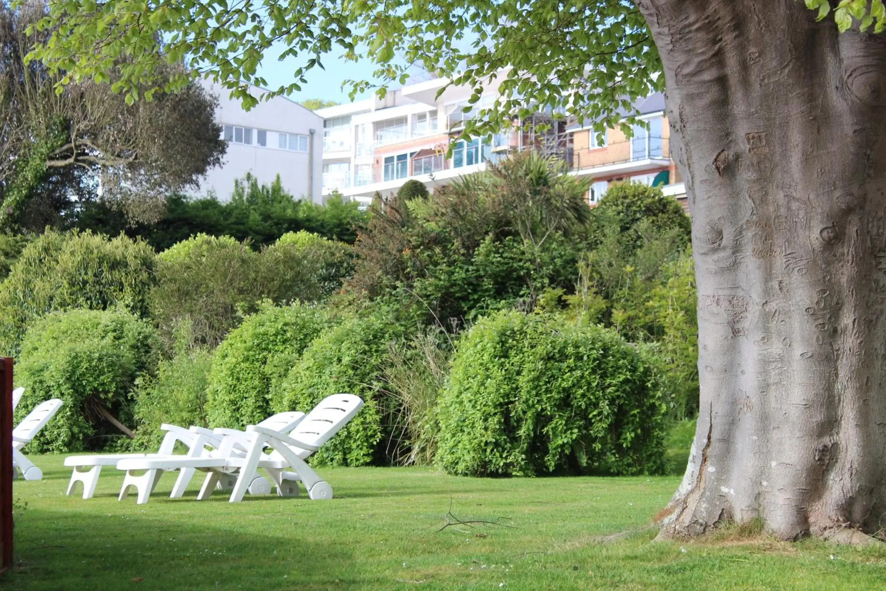 Garden in Luccombe Hall Hotel