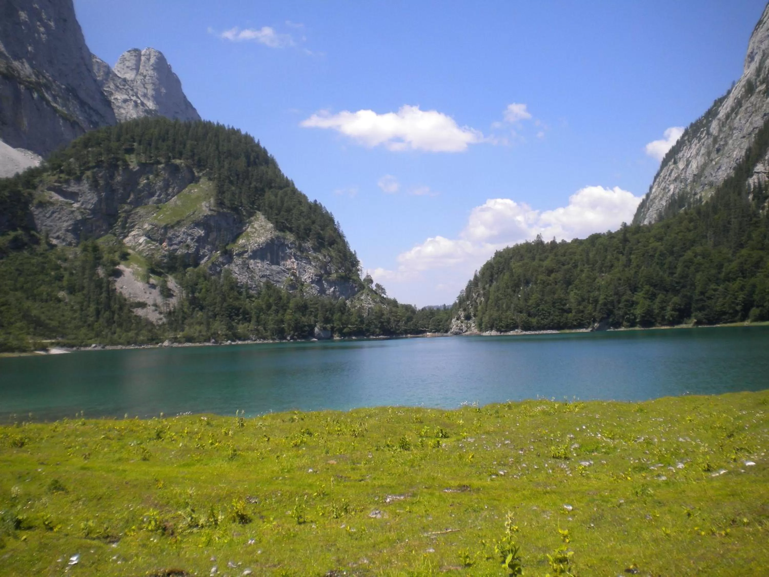 Hiking in Privatpension Gosaukammblick