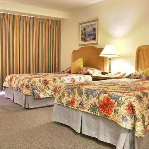 Photo of the whole room, Bed in Castaways Resort and Suites Photo of the whole room, Bed in Castaways Resort and Suites