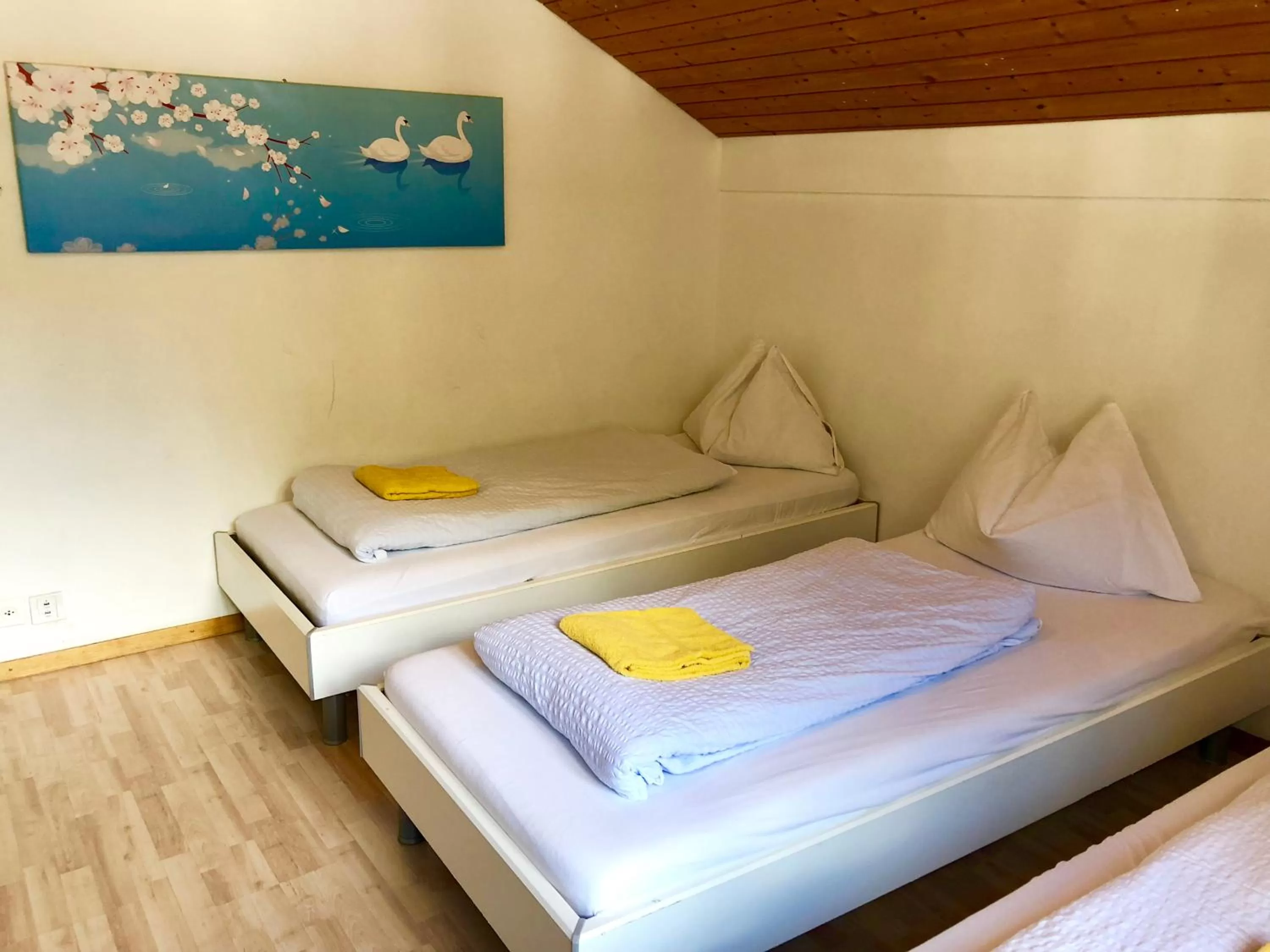 Triple Room with Shared Toilet in Interlaken Marco Hostel