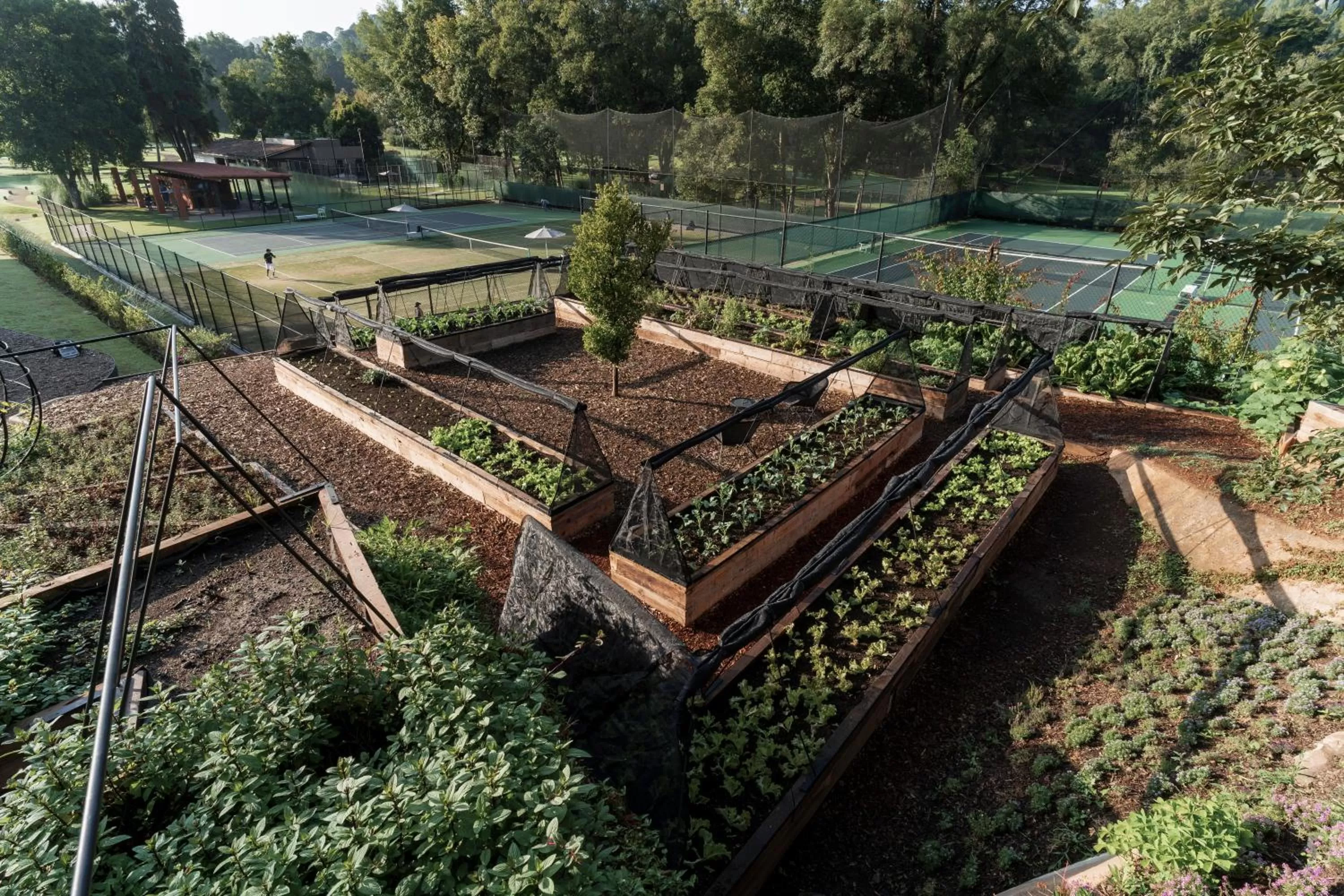 Garden in Hotel Avandaro Golf & Spa Resort
