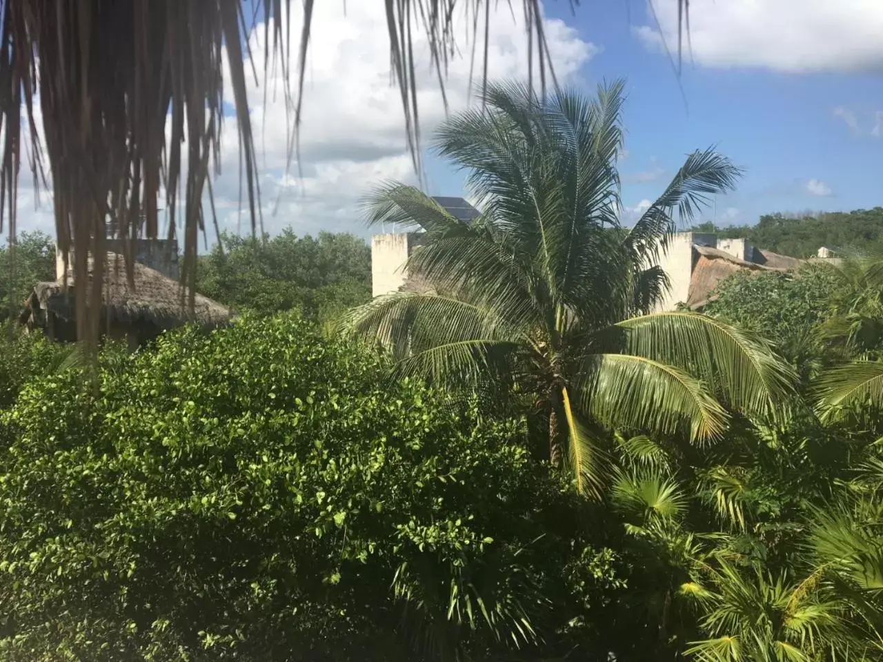 View (from property/room) in La Casa de Mia Tulum