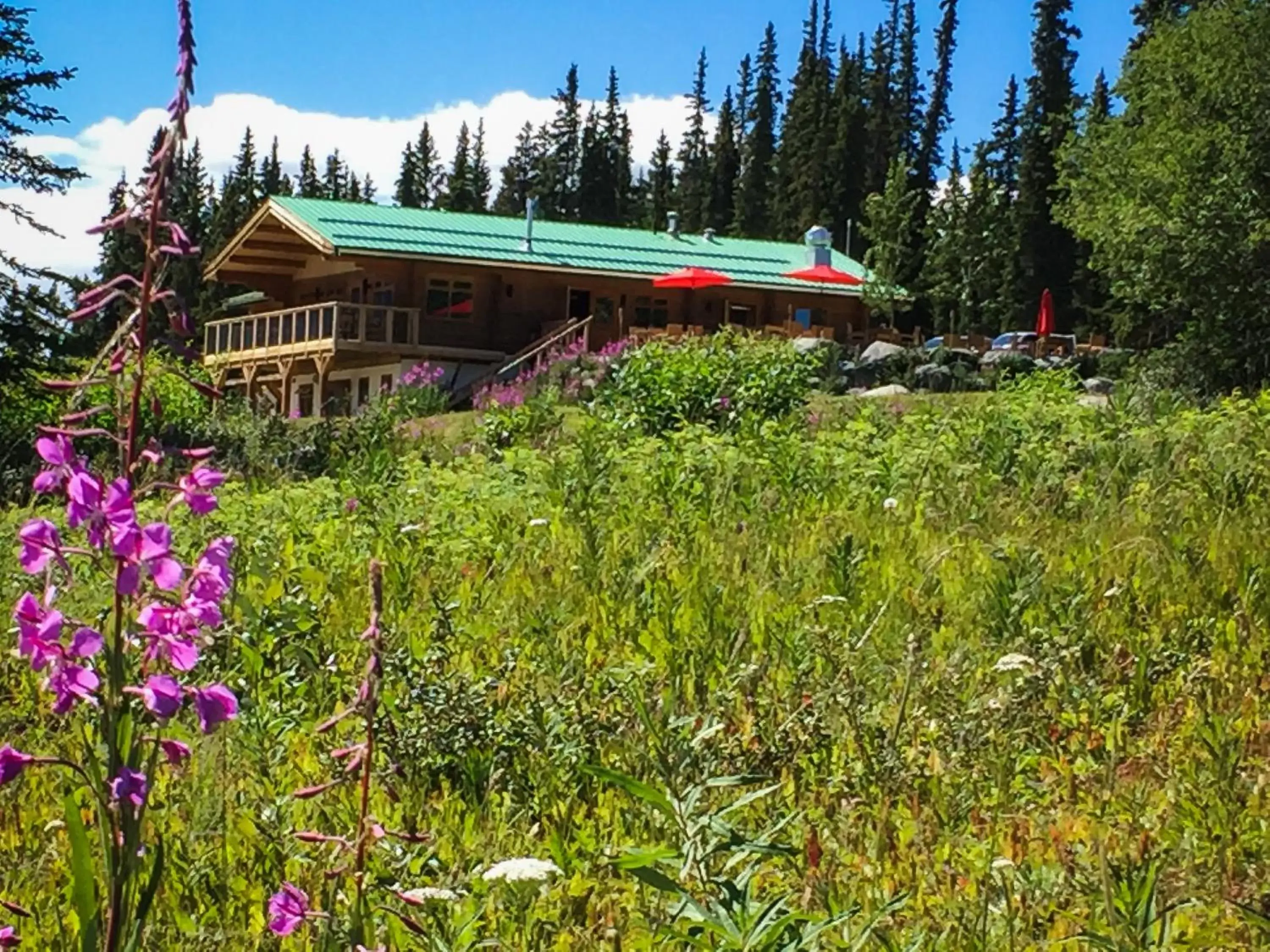 Restaurant/places to eat, Garden in Southern Lakes Resort