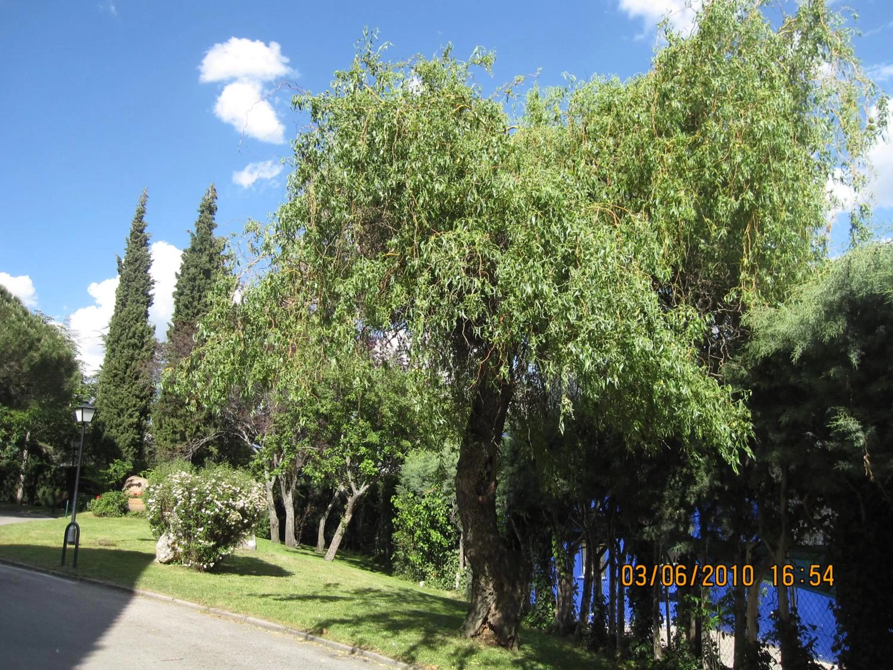 Garden in Hotel Rural Spa & Wellness Hacienda Los Robles