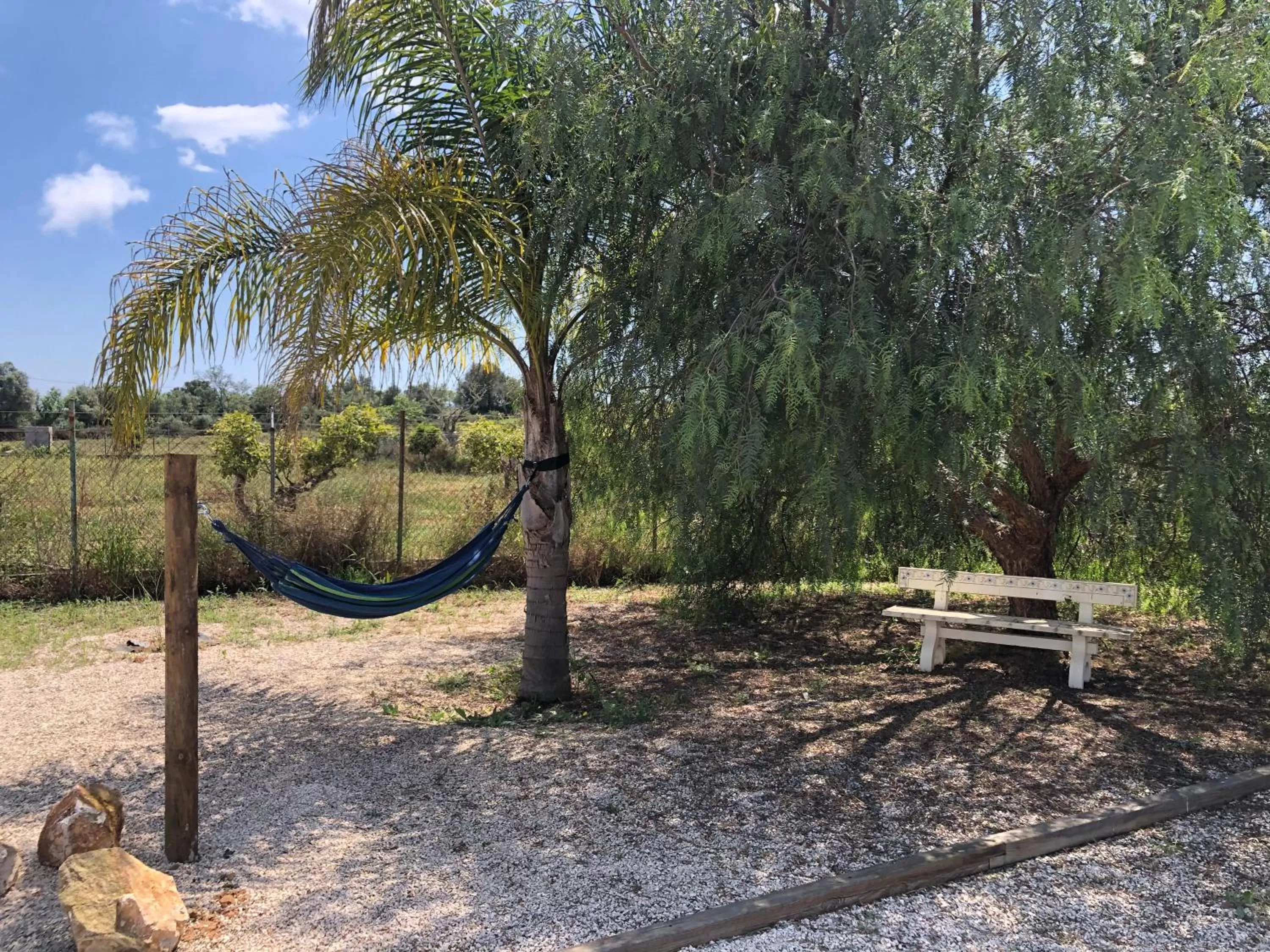 Natural landscape in Casa Jardim Oasis