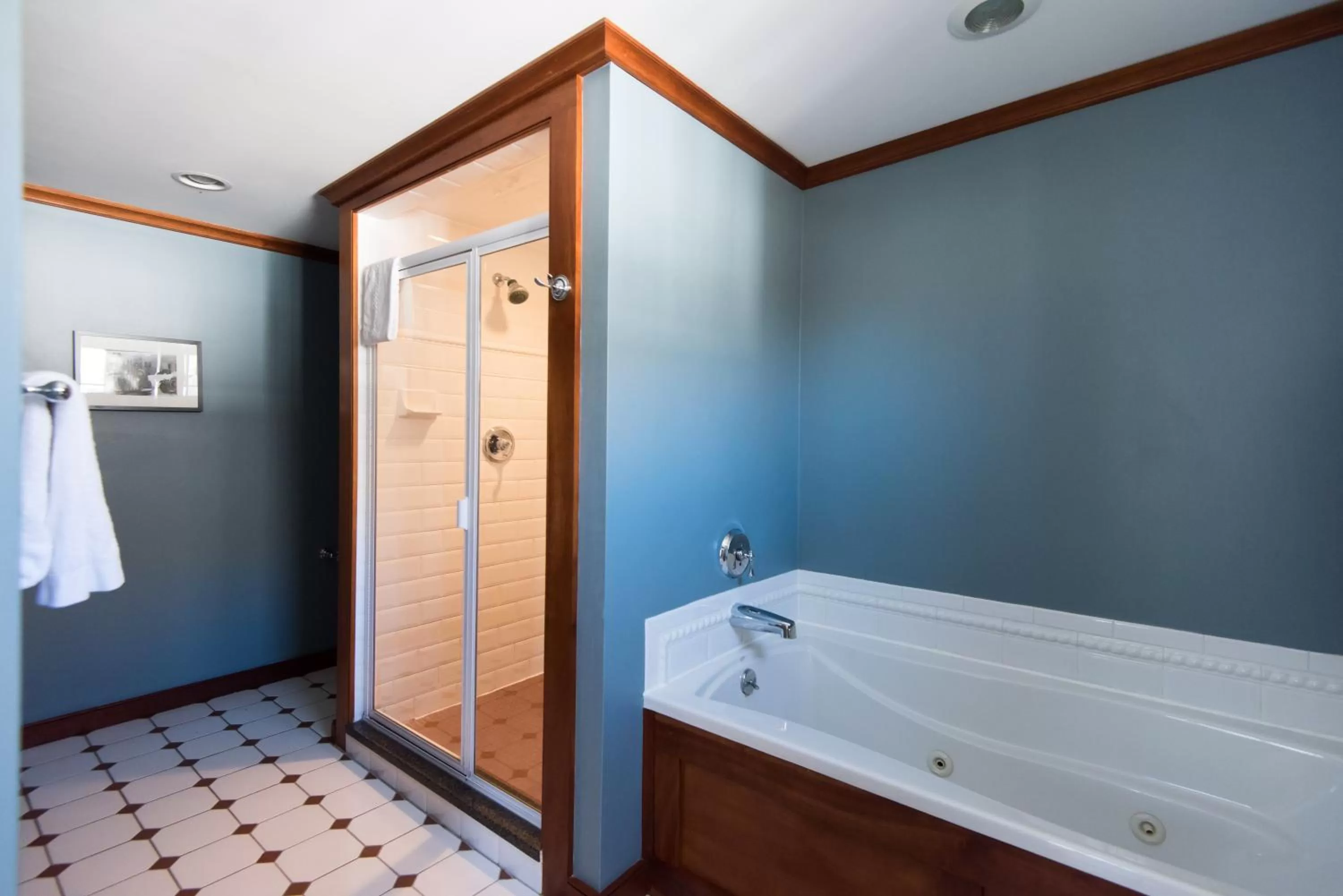 Shower, Bathroom in Four Columns Inn