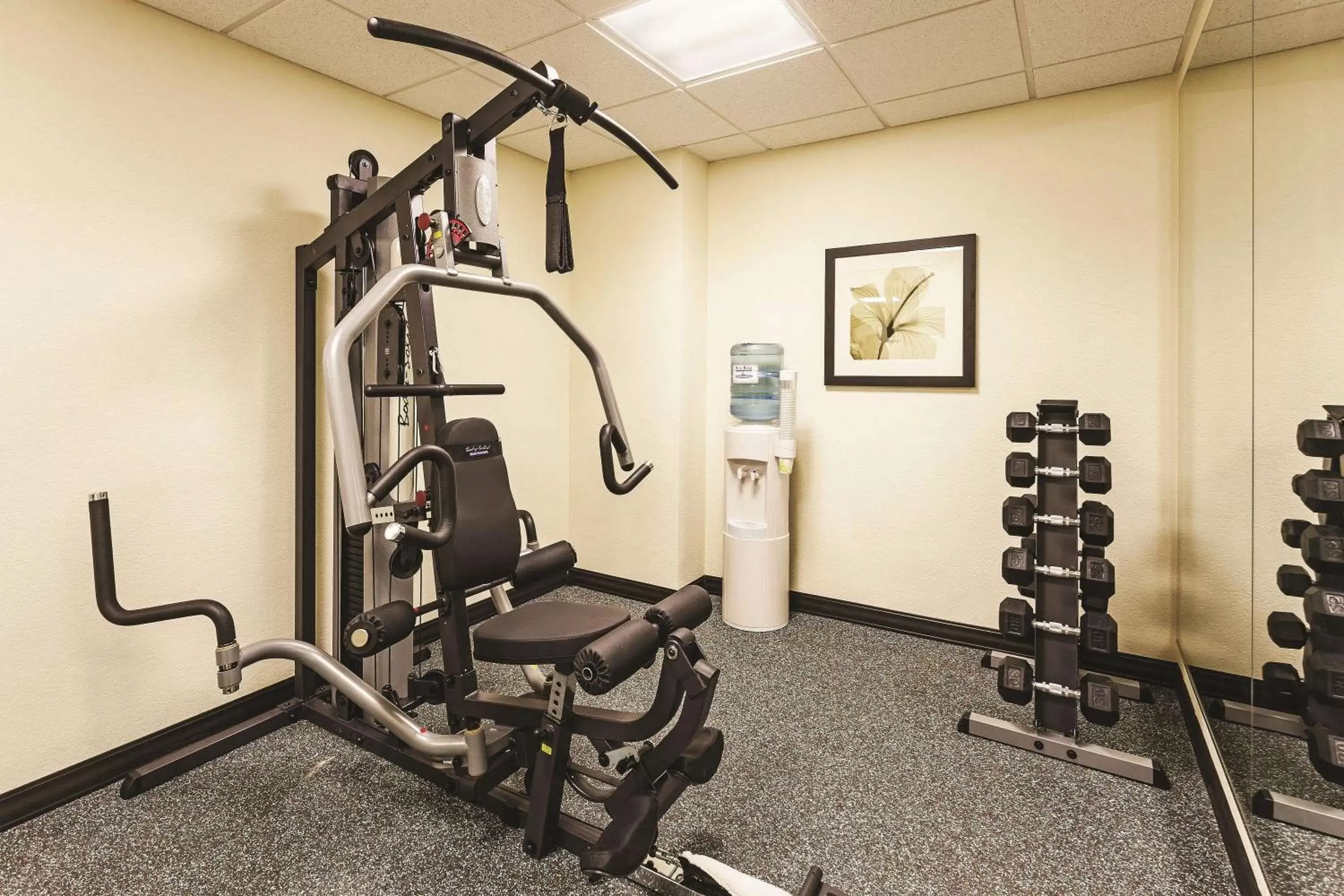 Fitness centre/facilities, Fitness Center/Facilities in La Quinta by Wyndham Knoxville Airport