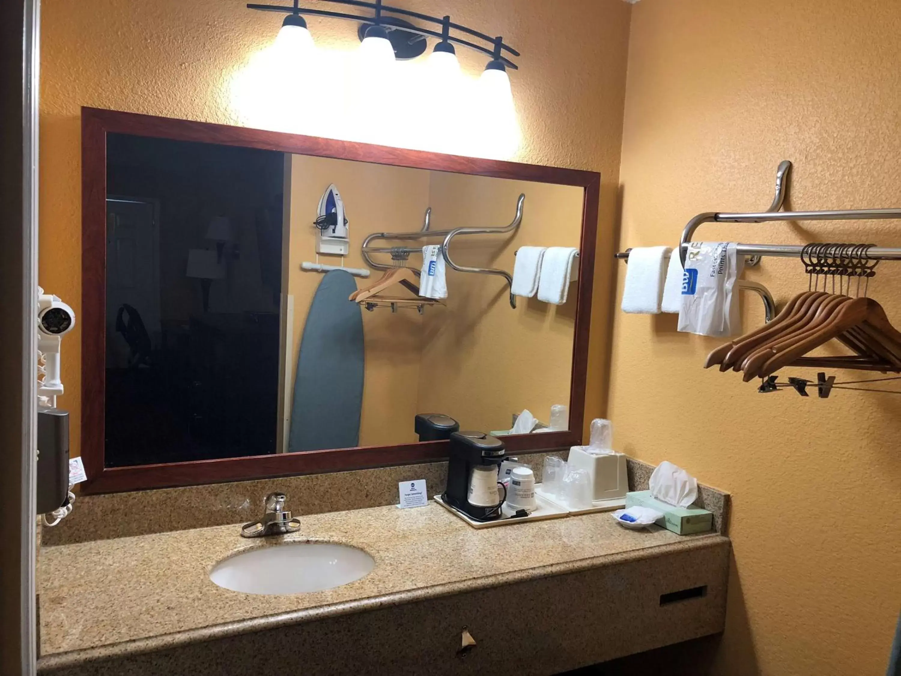 Bathroom in Best Western Executive Inn