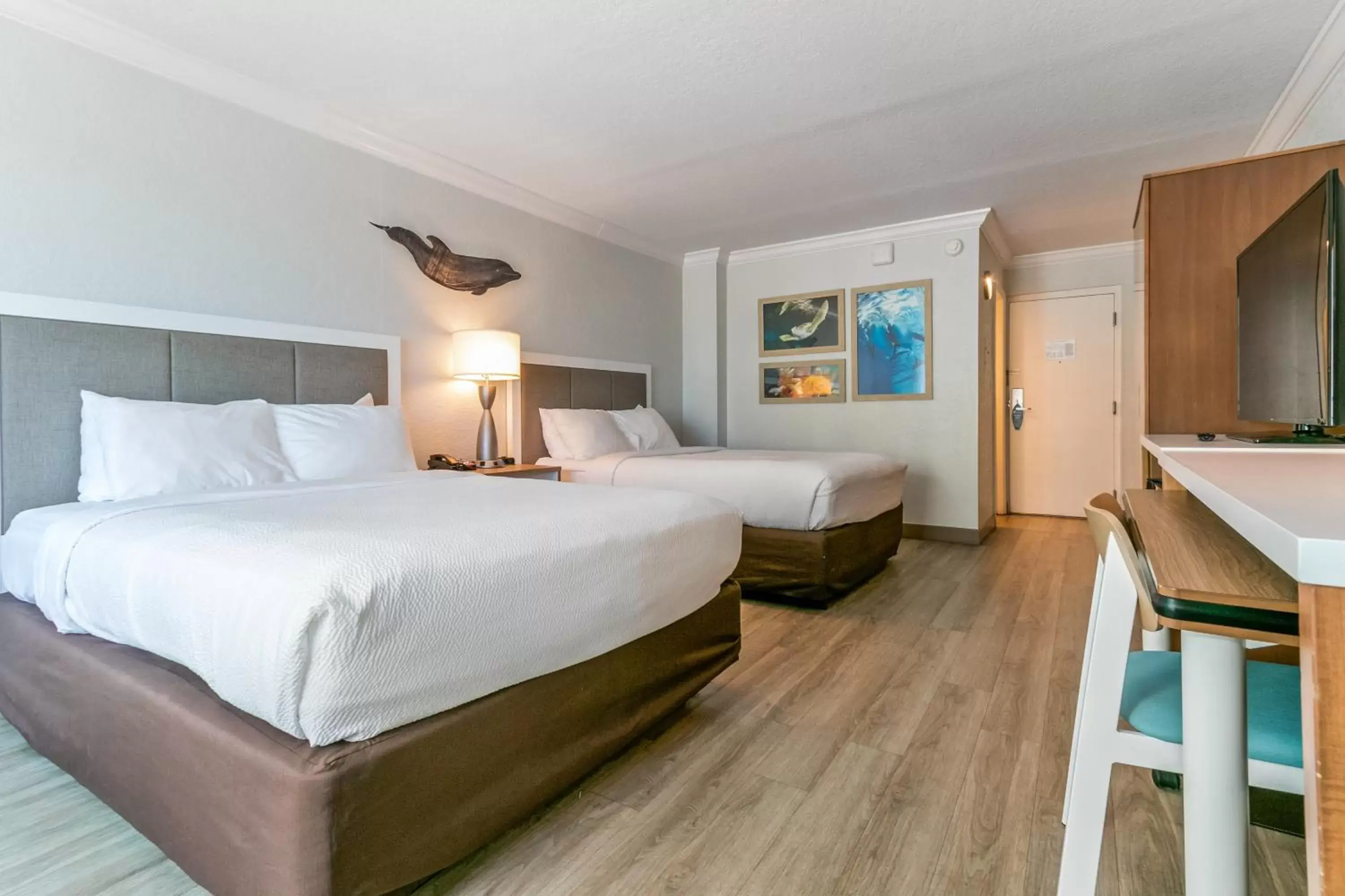 Superior Queen Room with Two Queen Beds - Accessible/Non-Smoking in Dolphin Sands Clearwater Beach, an Ascend Collection Hotel Superior Queen Room with Two Queen Beds - Accessible/Non-Smoking in Dolphin Sands Clearwater Beach, an Ascend Collection Hotel