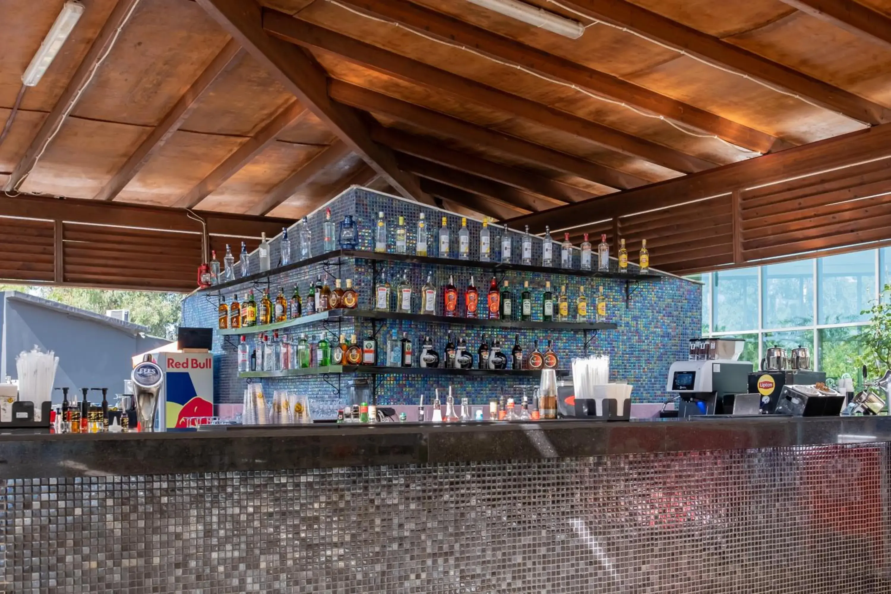 Lounge or bar in Port Nature Luxury Resort