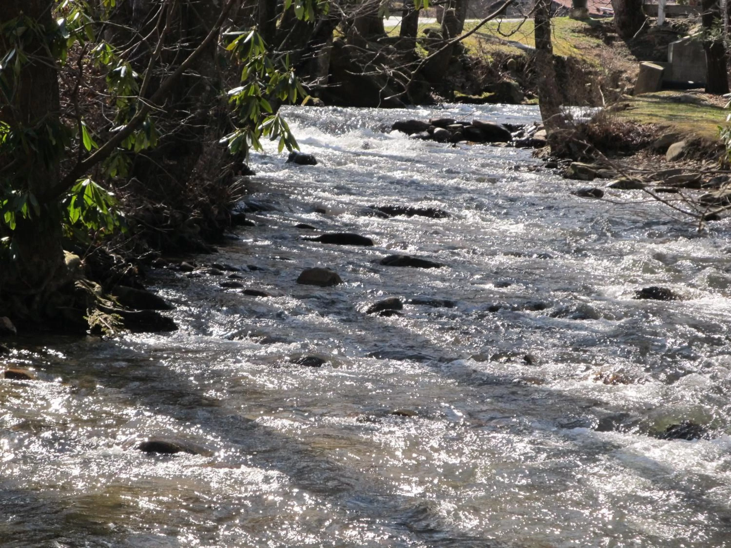 Facade/entrance in Jonathan Creek Inn and Villas