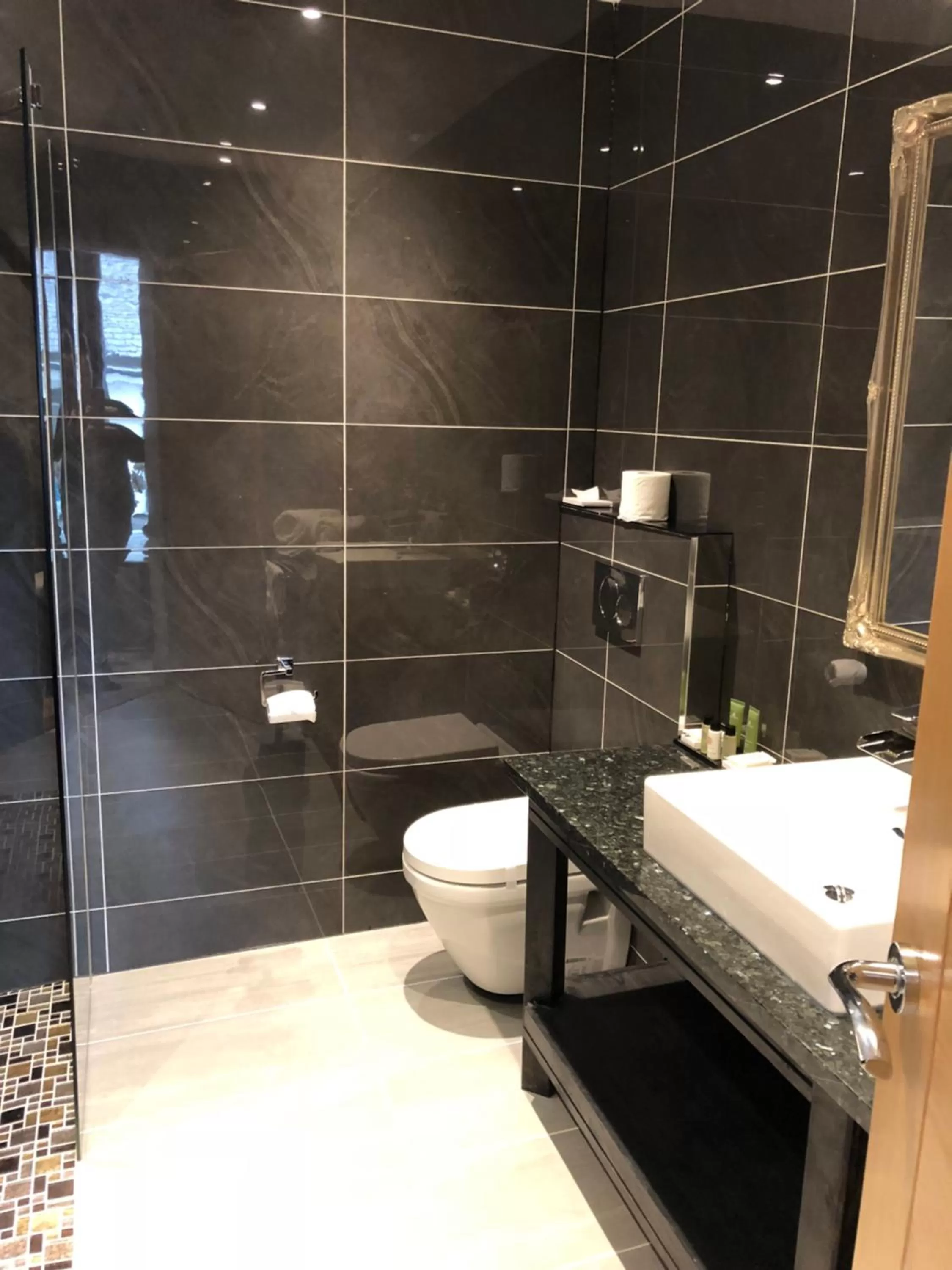 Toilet in Halvard Hotel