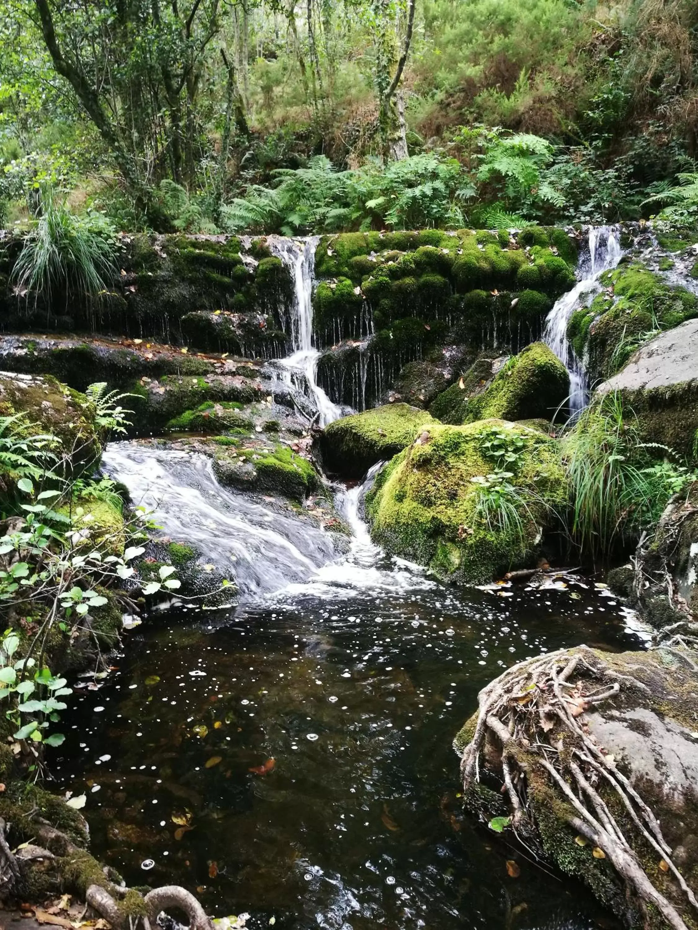 Nearby landmark, Natural Landscape in Hotel Celta Galaico