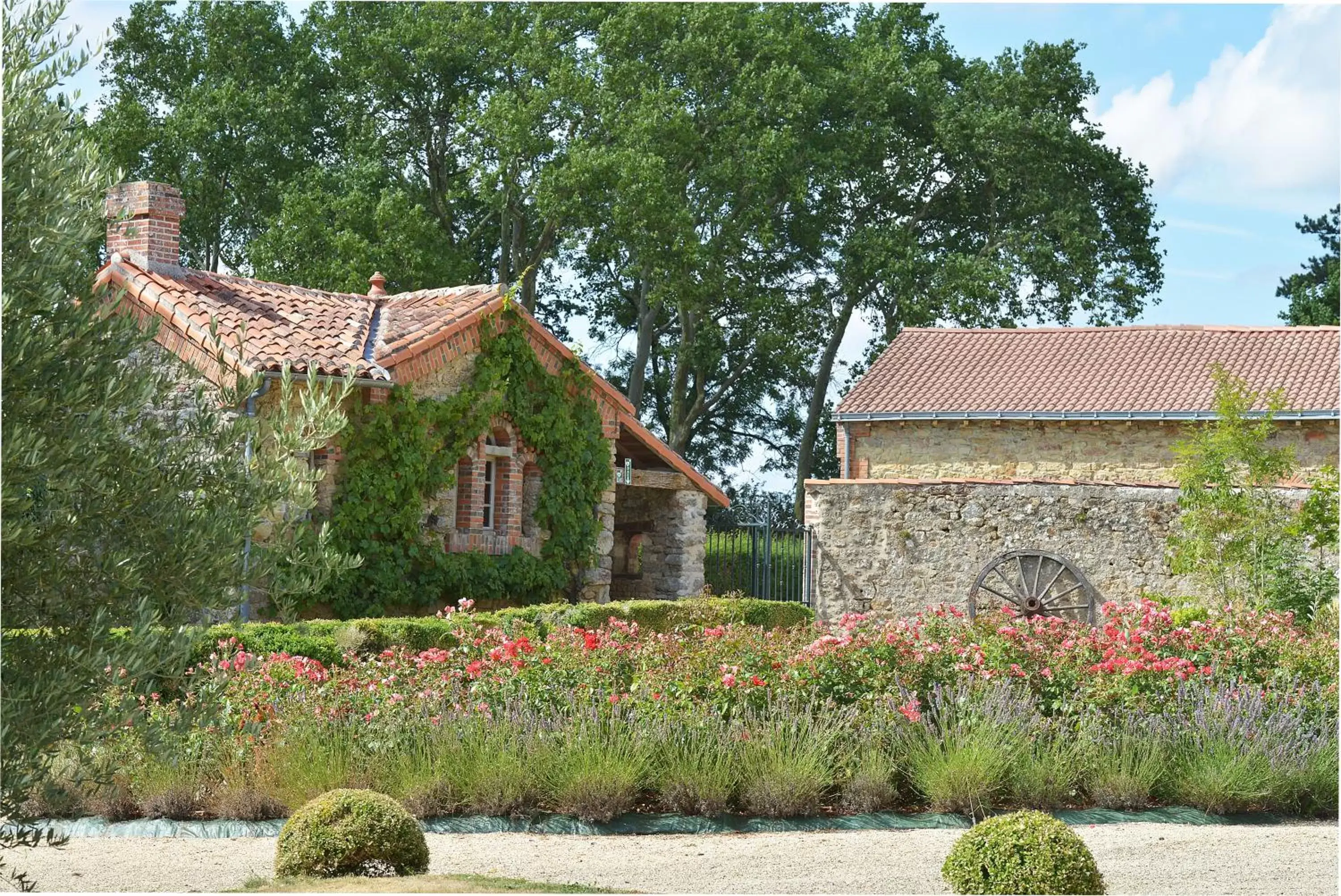 Garden, Property Building in B&B Domaine de La Corbe