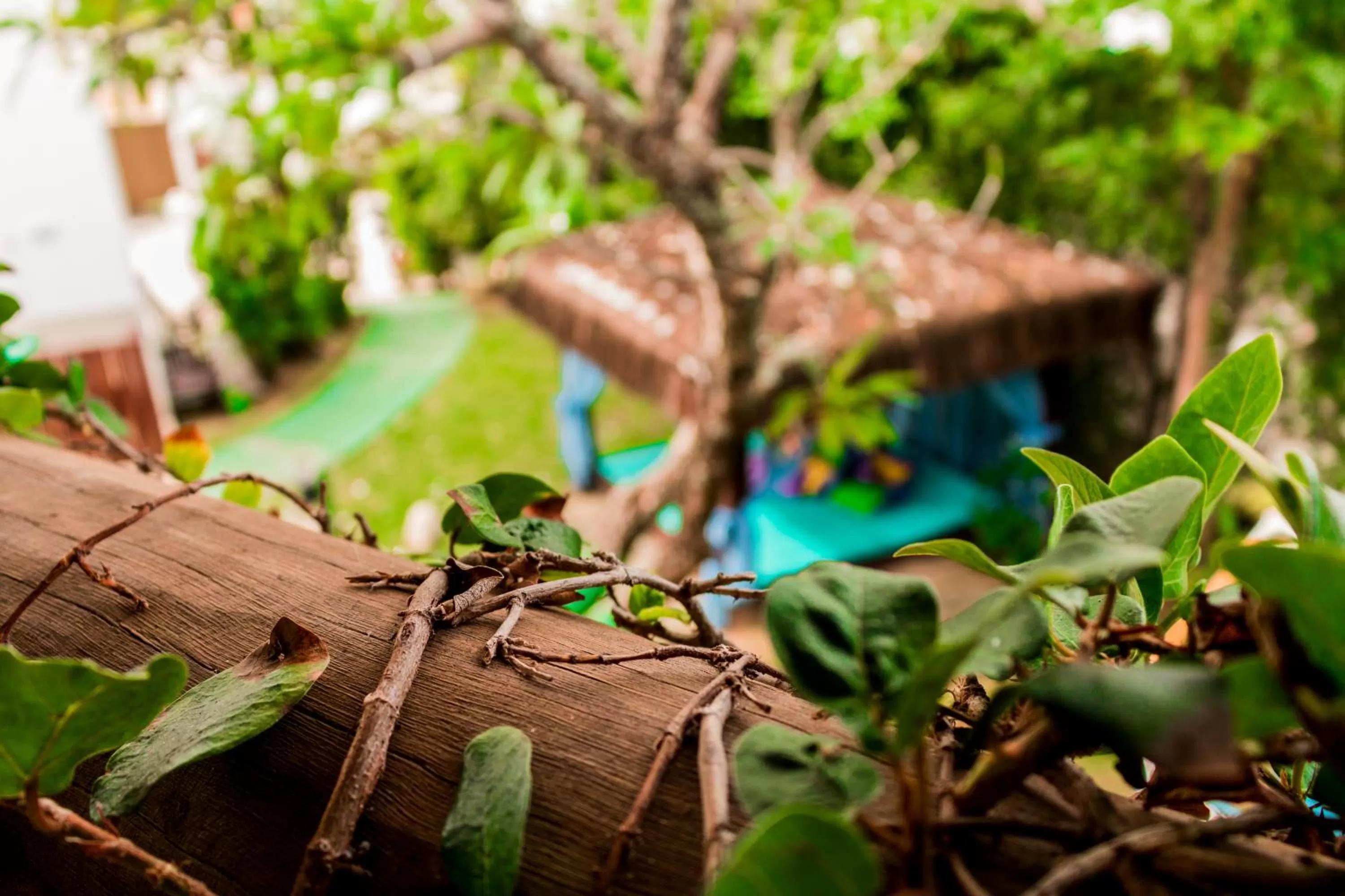 Day in Farol de Itapuã Praia Hotel
