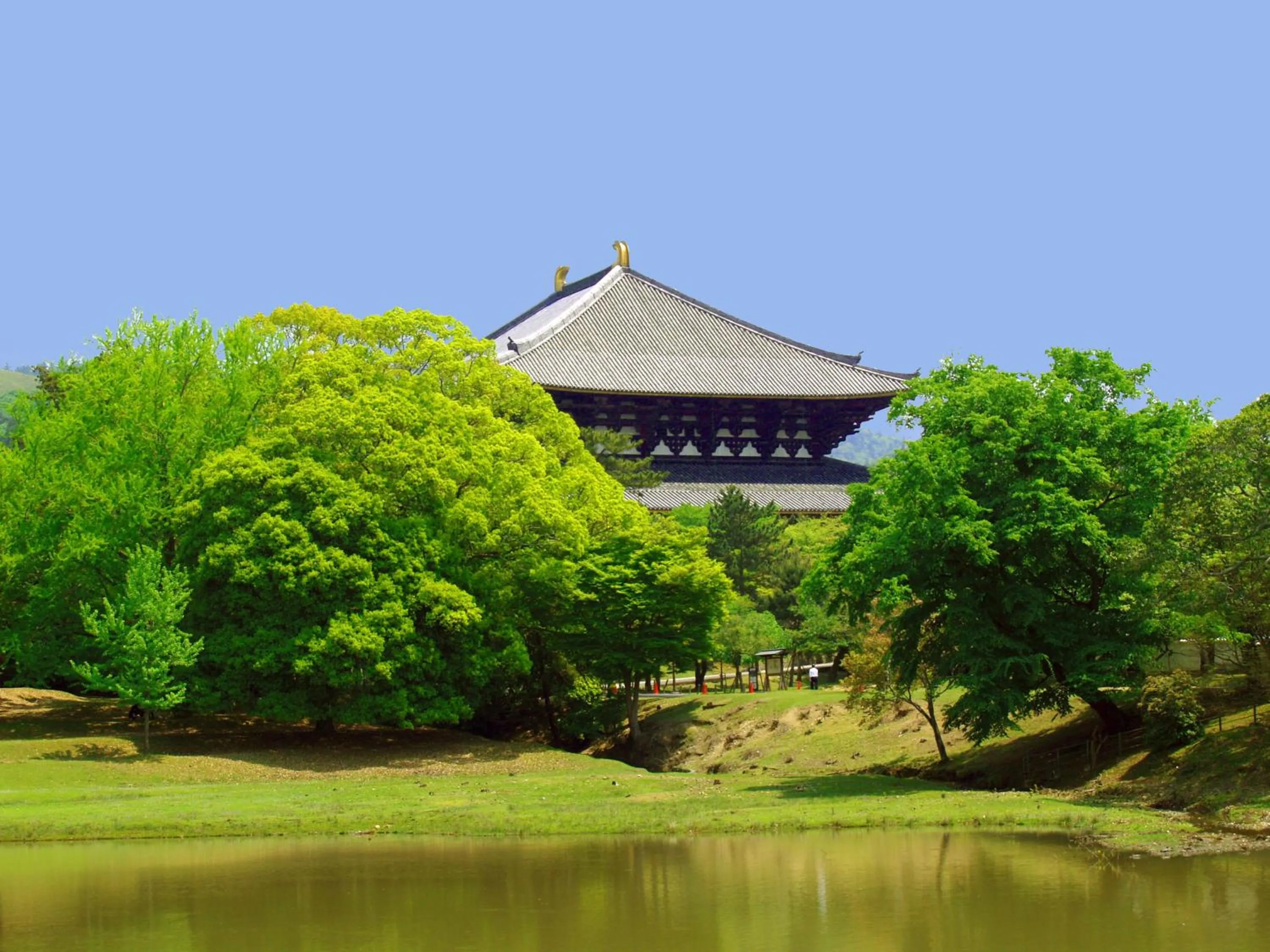 Off site in Guesthouse Nara Komachi