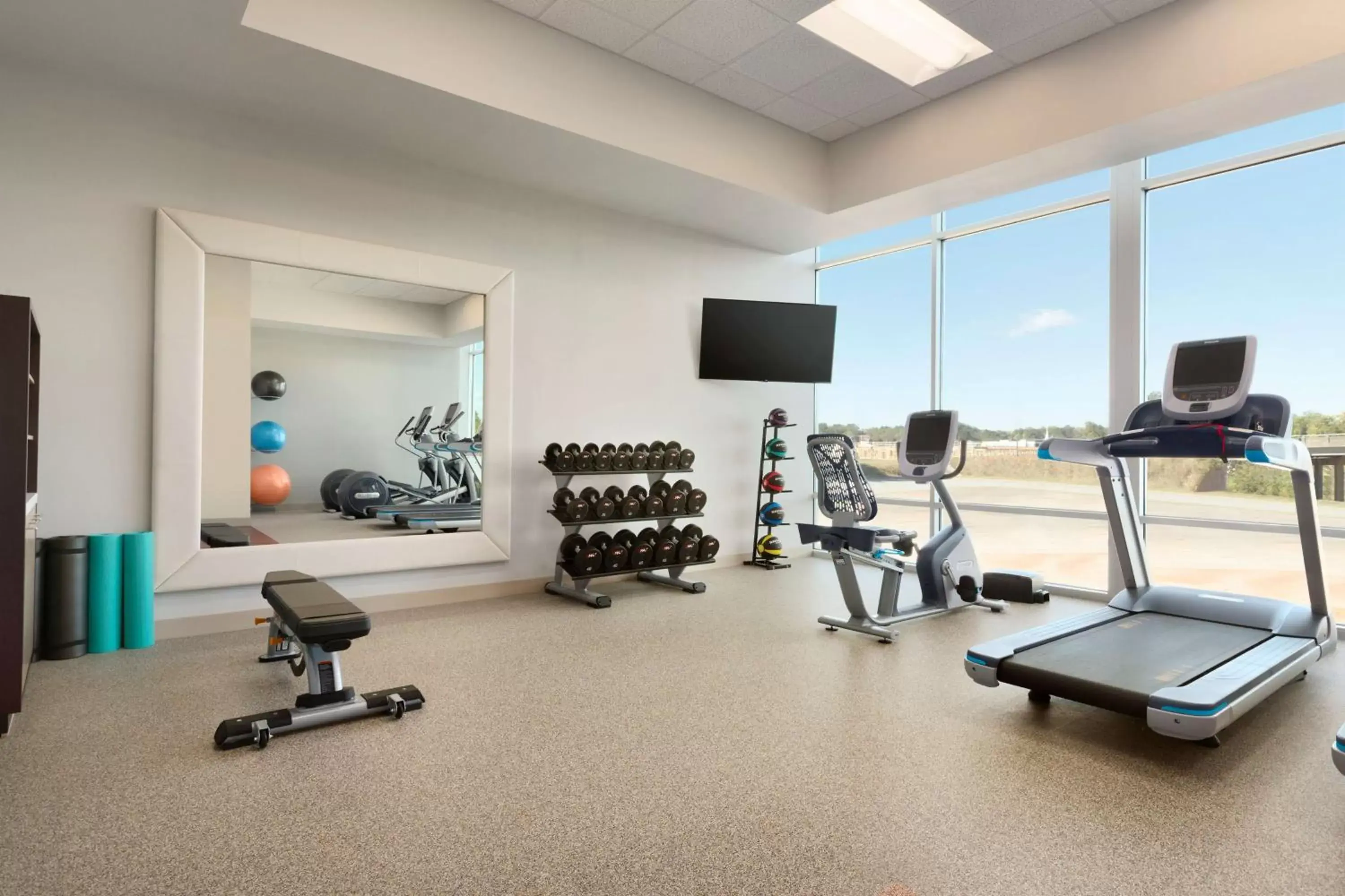 Fitness centre/facilities, Fitness Center/Facilities in Embassy Suites by Hilton Greenville Downtown Riverplace