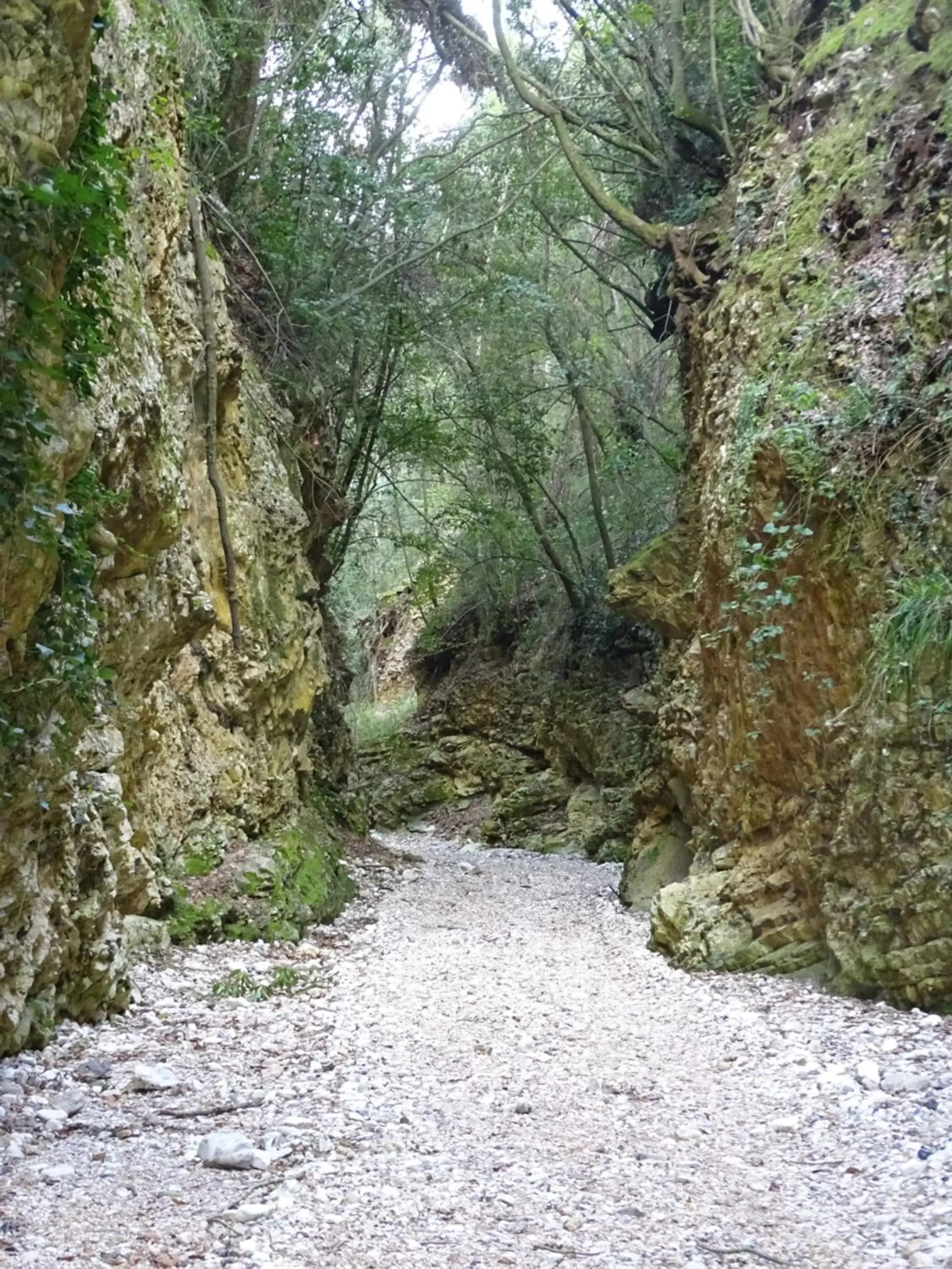 Restaurant/places to eat, Natural Landscape in Villa Biancofiore