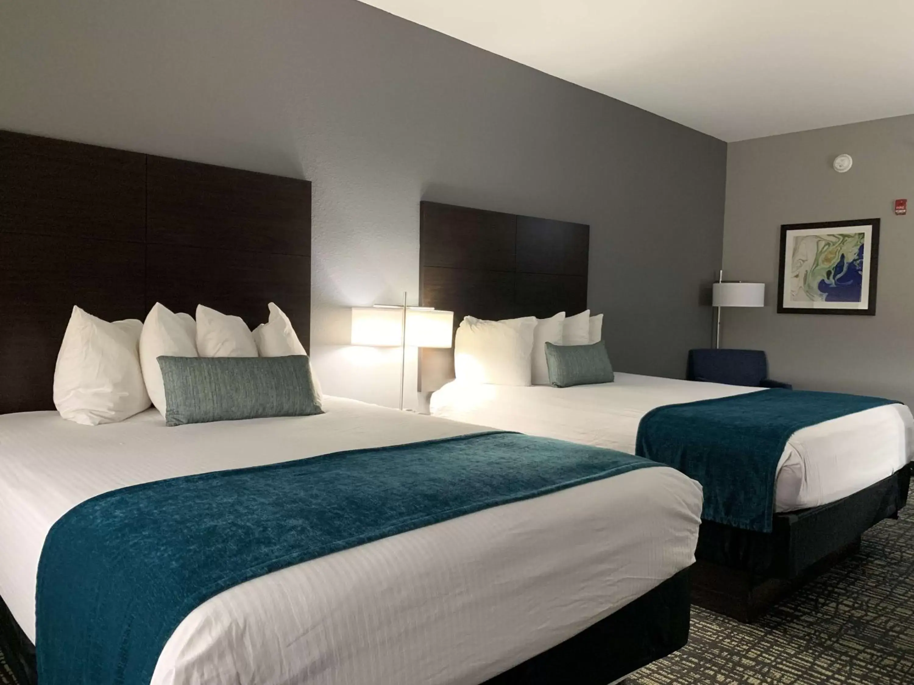 Photo of the whole room in Best Western Plus Olive Branch Hotel & Suites Photo of the whole room in Best Western Plus Olive Branch Hotel & Suites