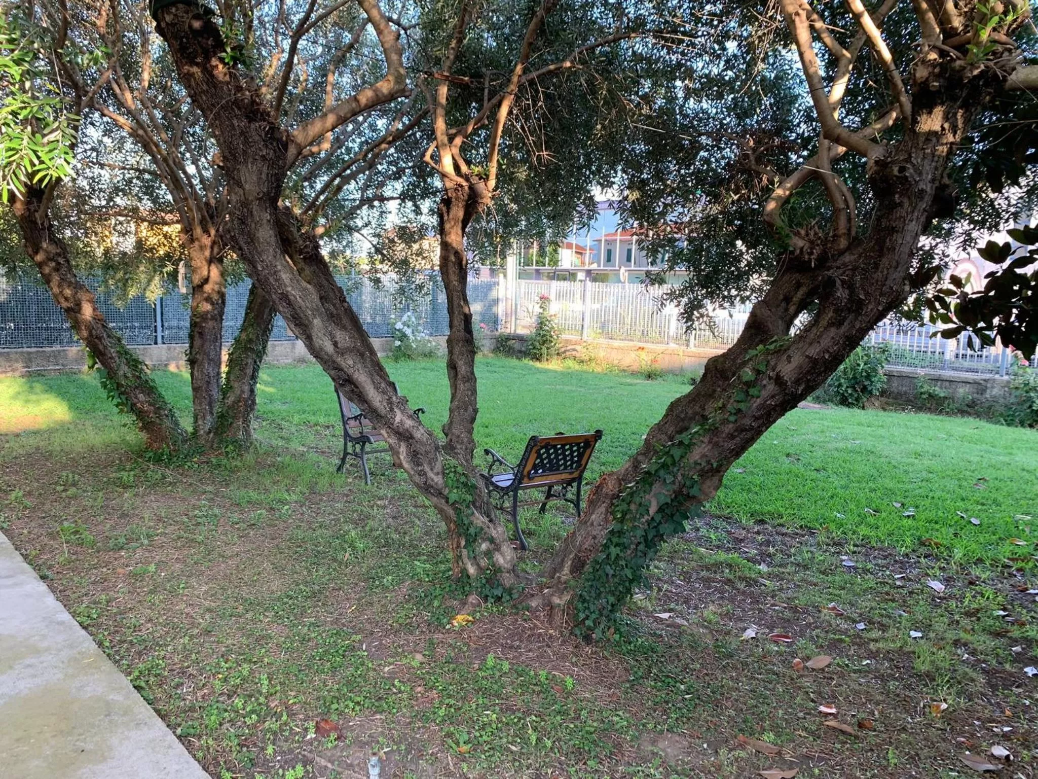 Garden in Bed and Breakfast Villa Adelina