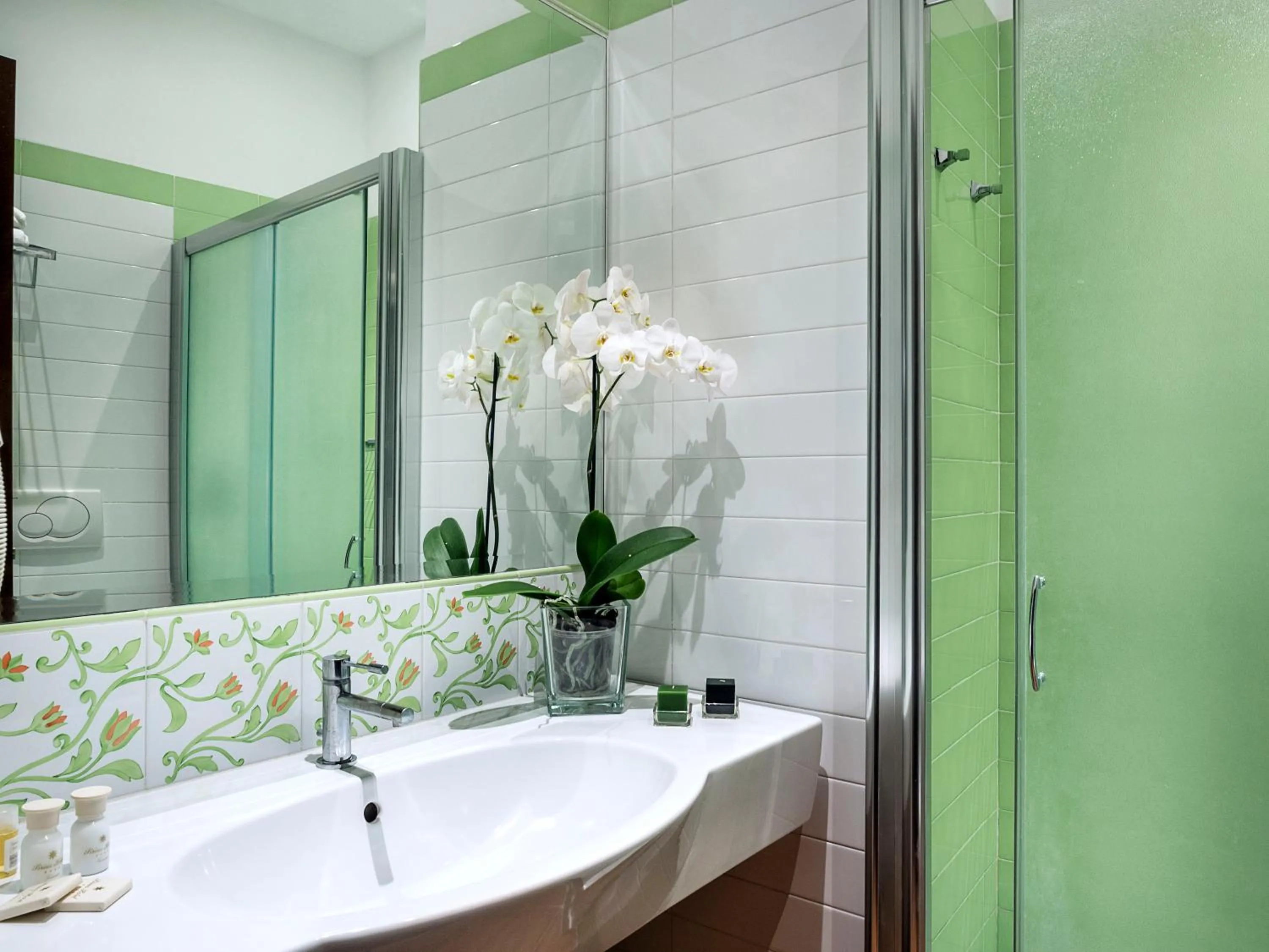 Shower in Hotel Sirius