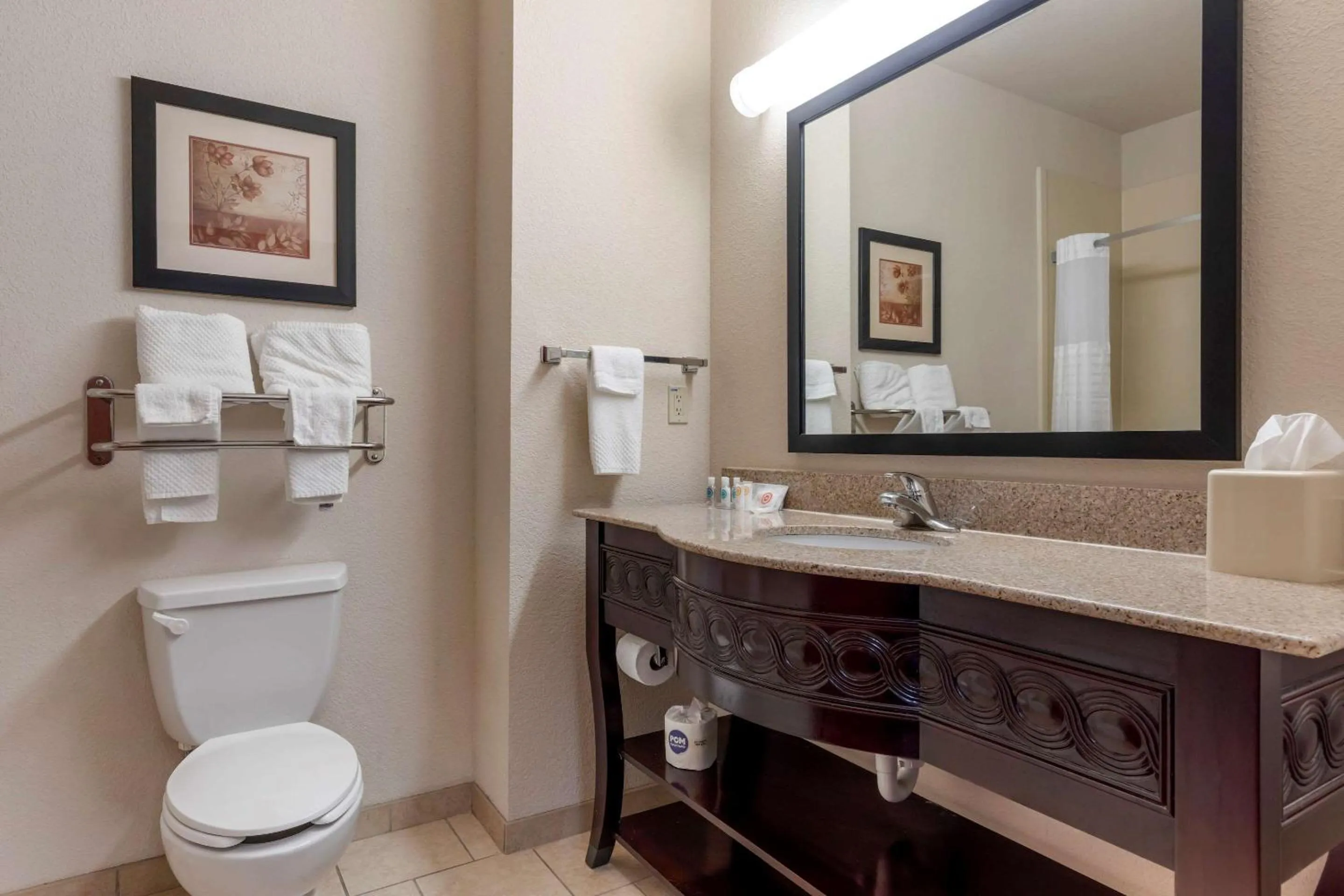 Bathroom in Comfort Inn & Suites Denison - Lake Texoma