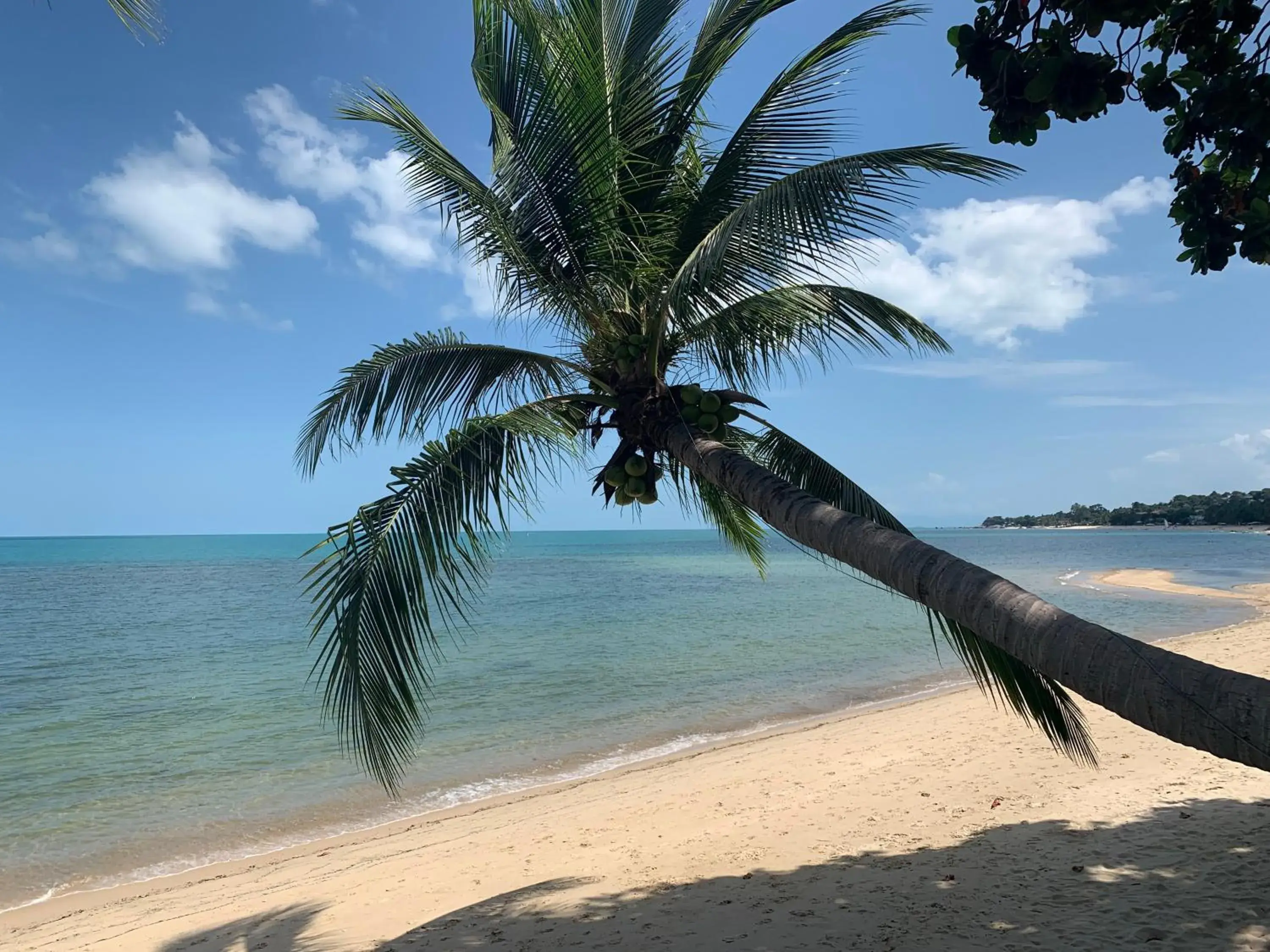 View (from property/room), Beach in Sand Sea Resort & Spa - Lamai Beach , Koh Samui