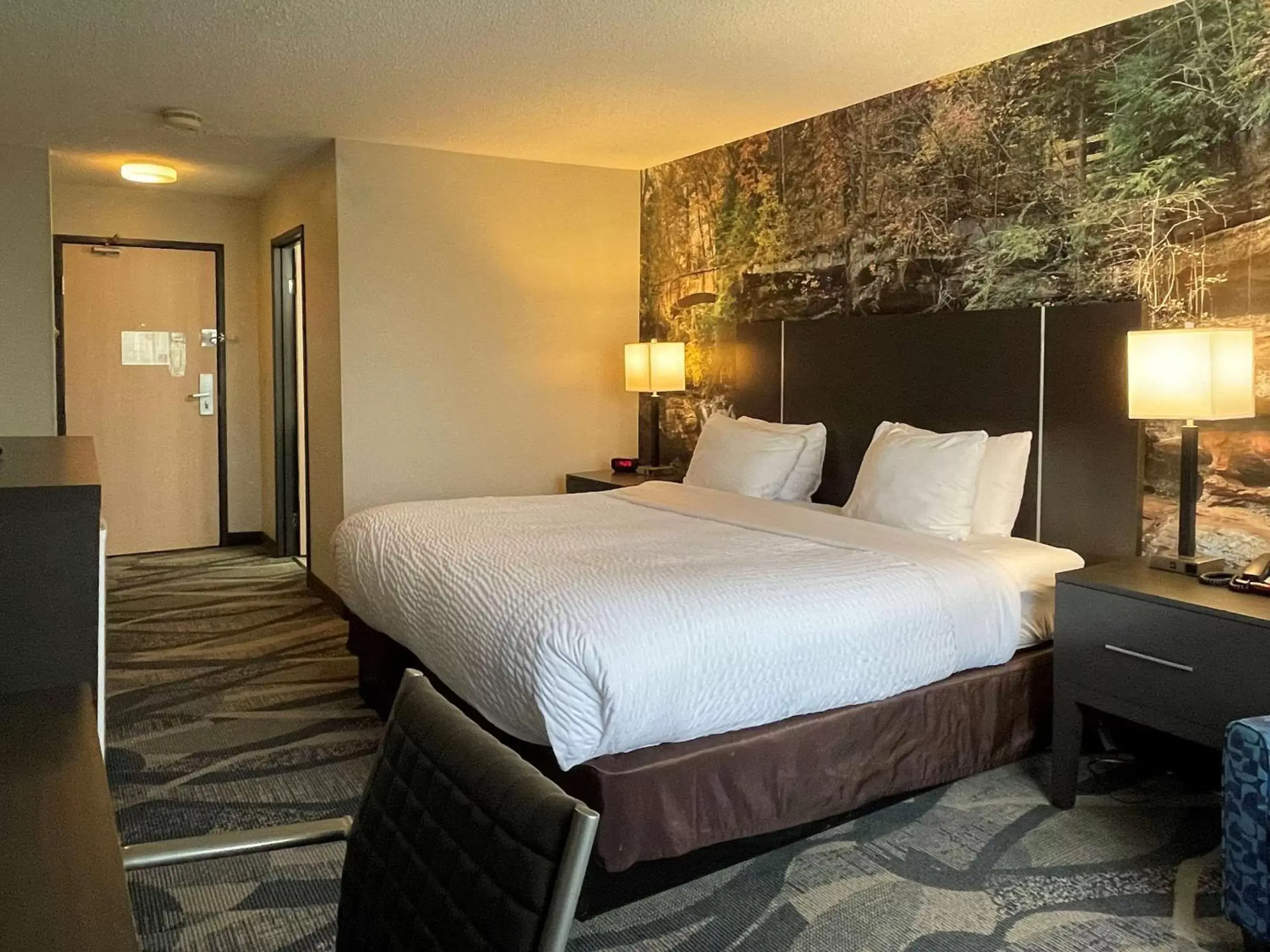 Photo of the whole room, Bed in Clarion Inn near Wright Patterson - Dayton