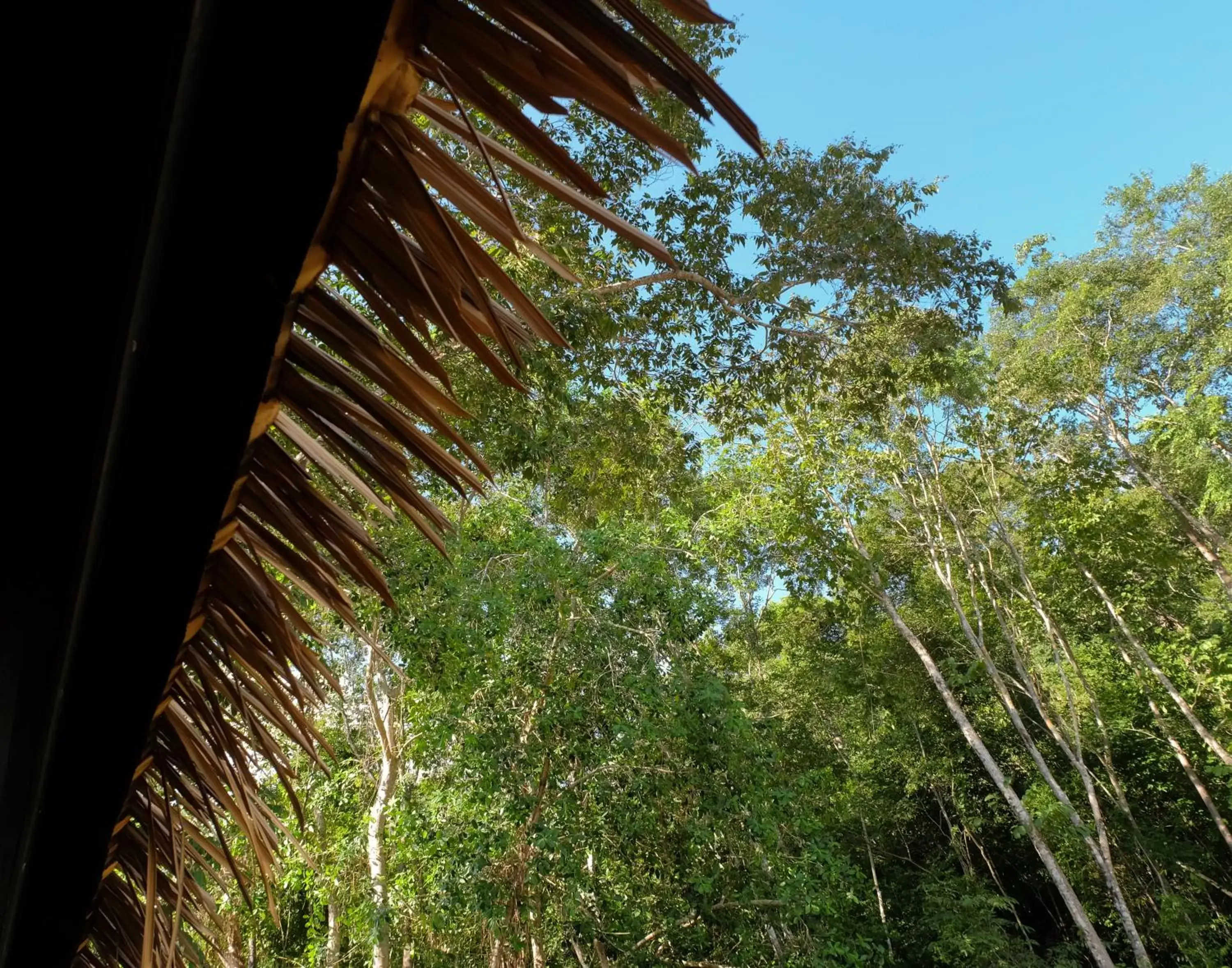 Natural landscape in A Rock Resort Langkawi - Coral Reefs