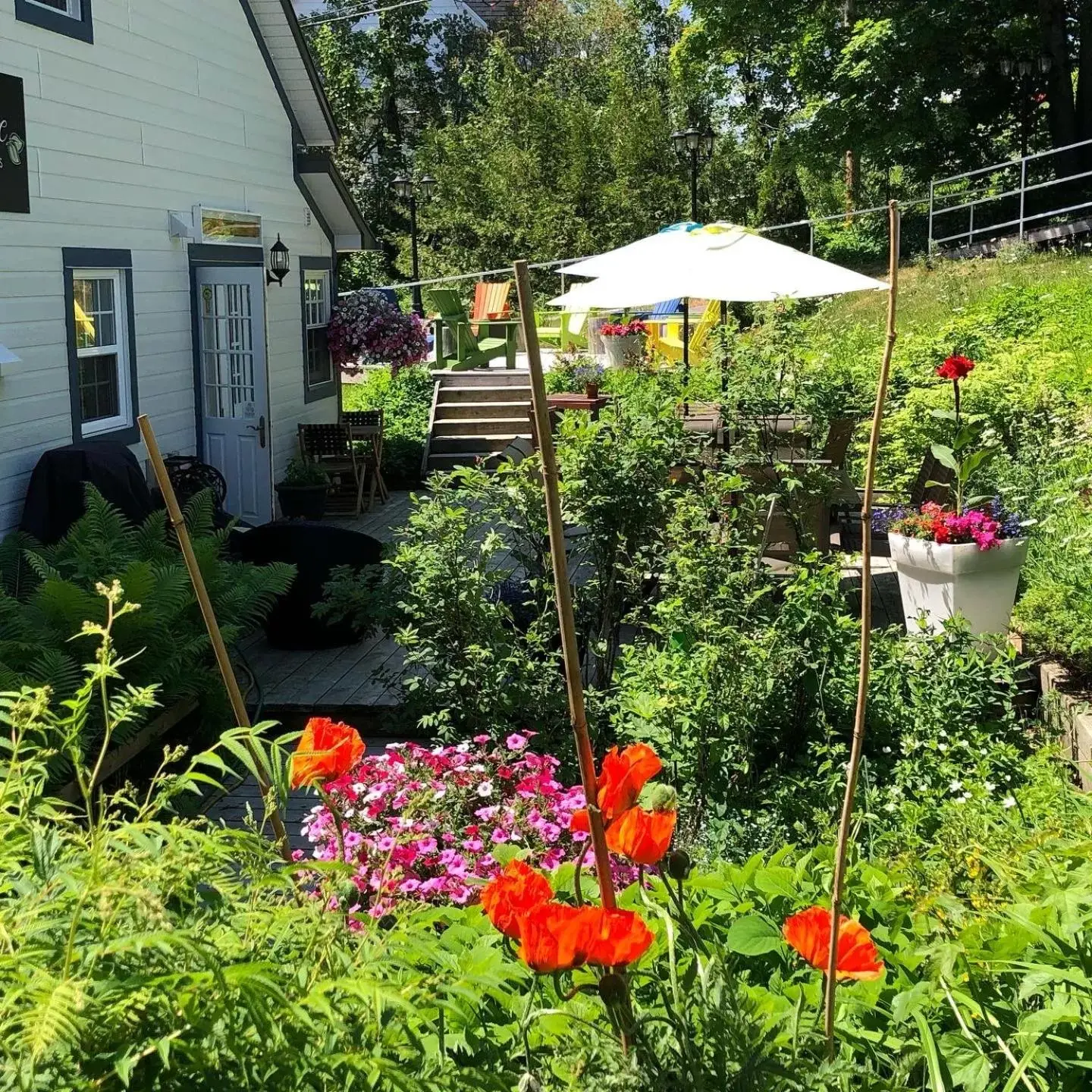 Garden in Auberge Sous les Arbres