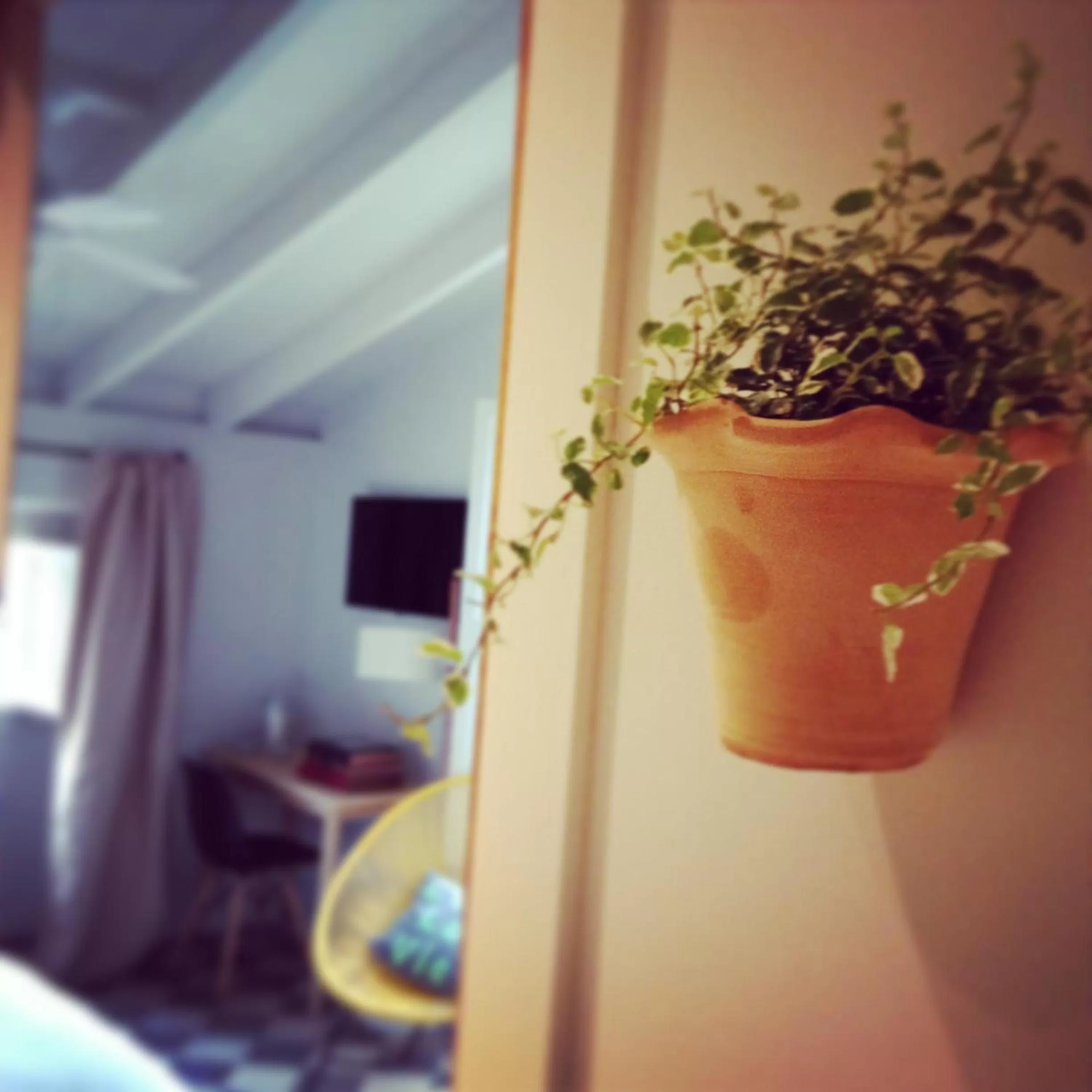 Day, Bed in Ca's Papà