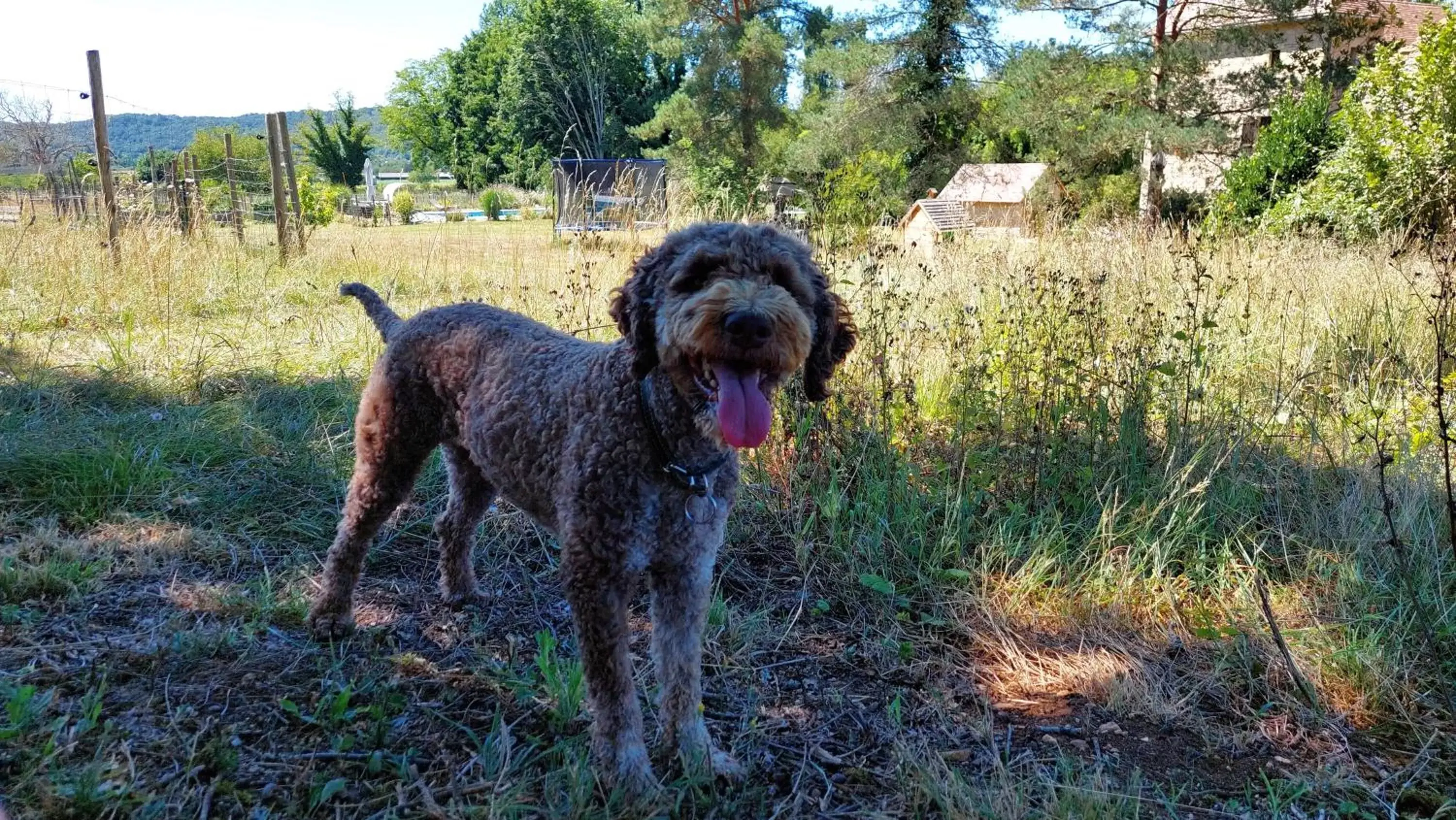 Pets in Ferme 4 étoiles avec piscine chauffée